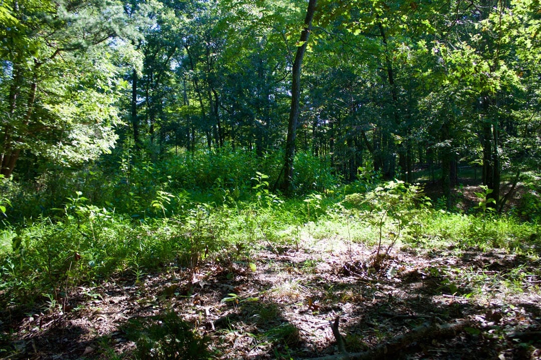 Heritage Hollow Tract 9 photo 20
