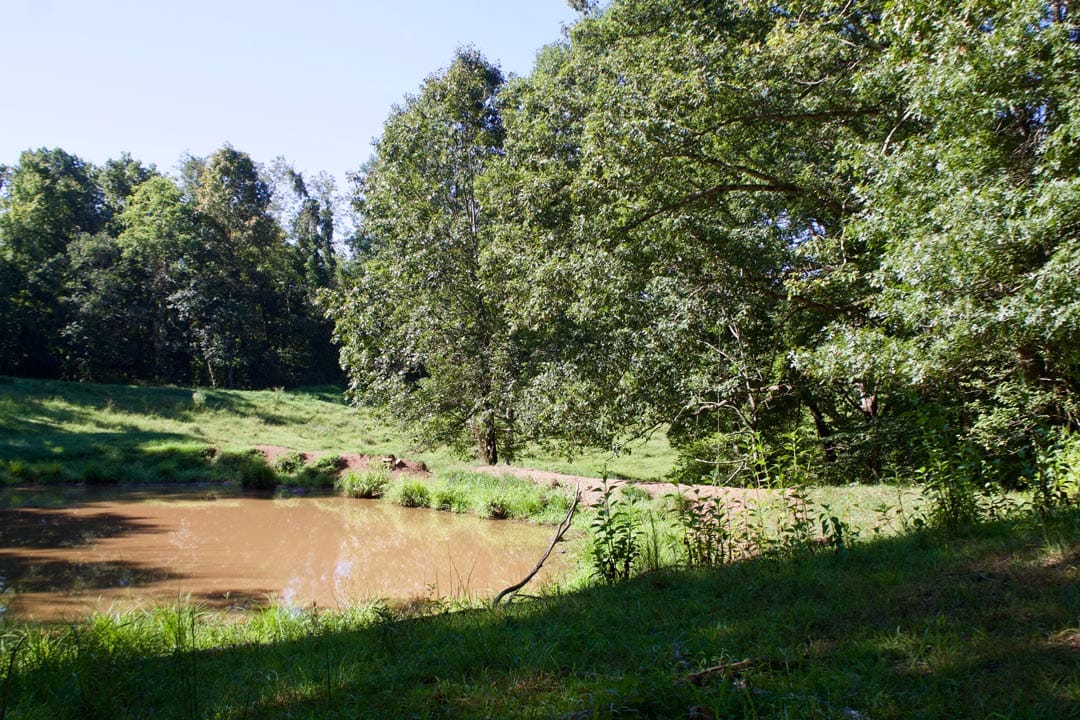 Heritage Hollow Tract 9 photo 21
