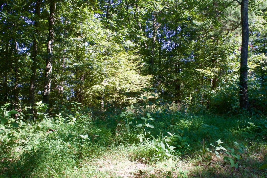 Heritage Hollow Tract 9 photo 22