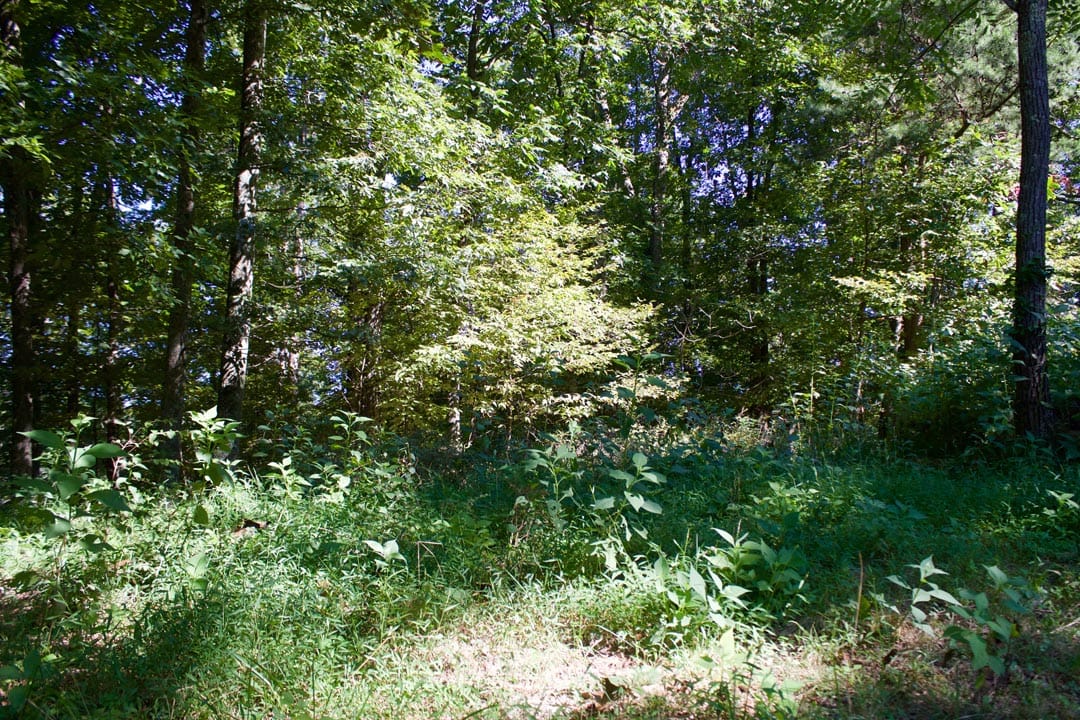 Heritage Hollow Tract 9 photo 23