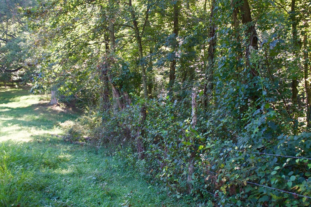Heritage Hollow Tract 9 photo 24