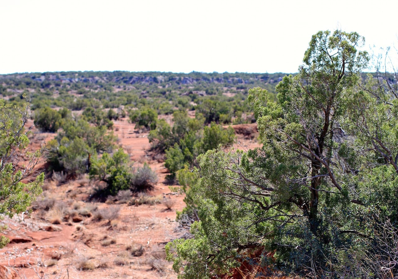 Red Rock Ranch Tract 13 photo 1