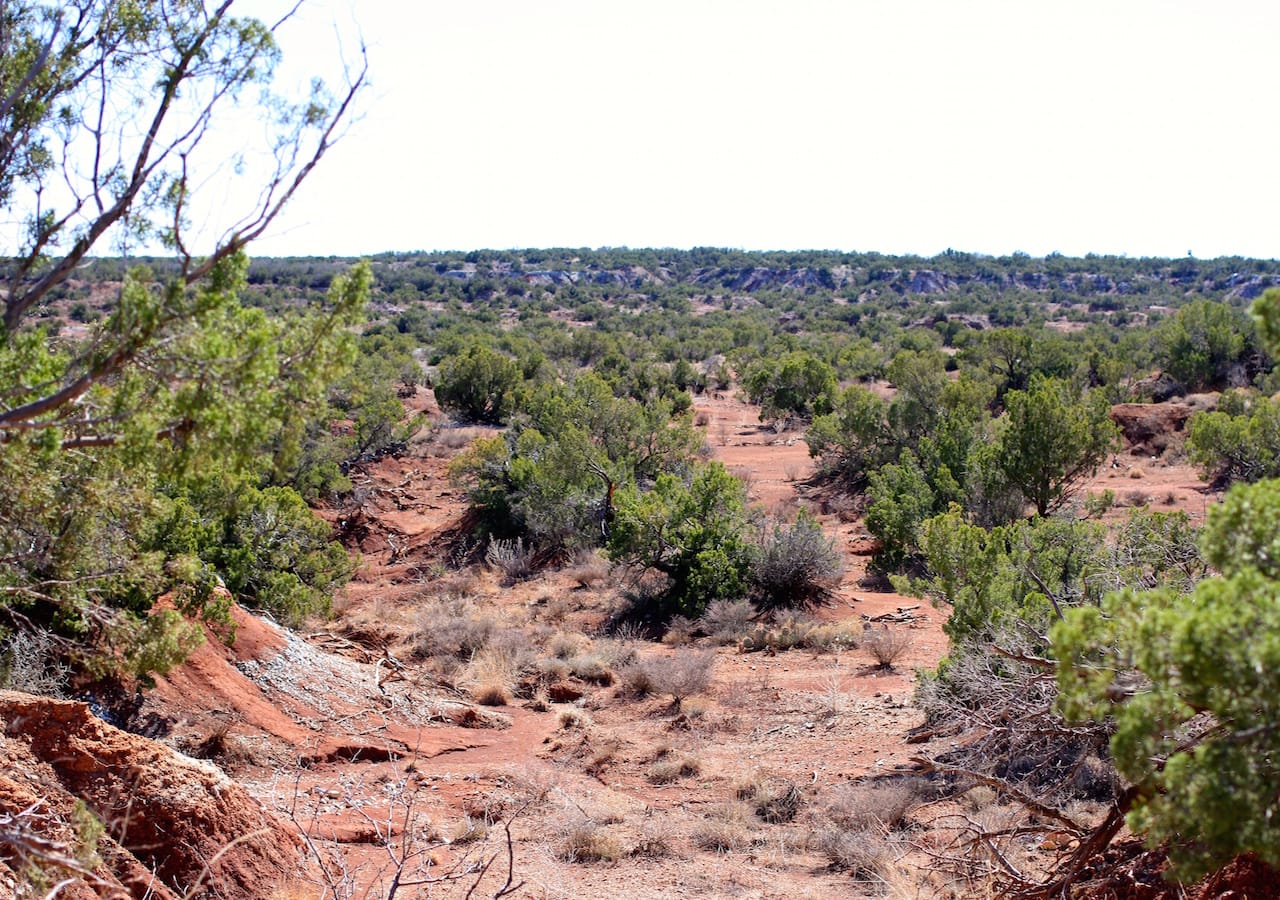 Red Rock Ranch Tract 13 photo 2