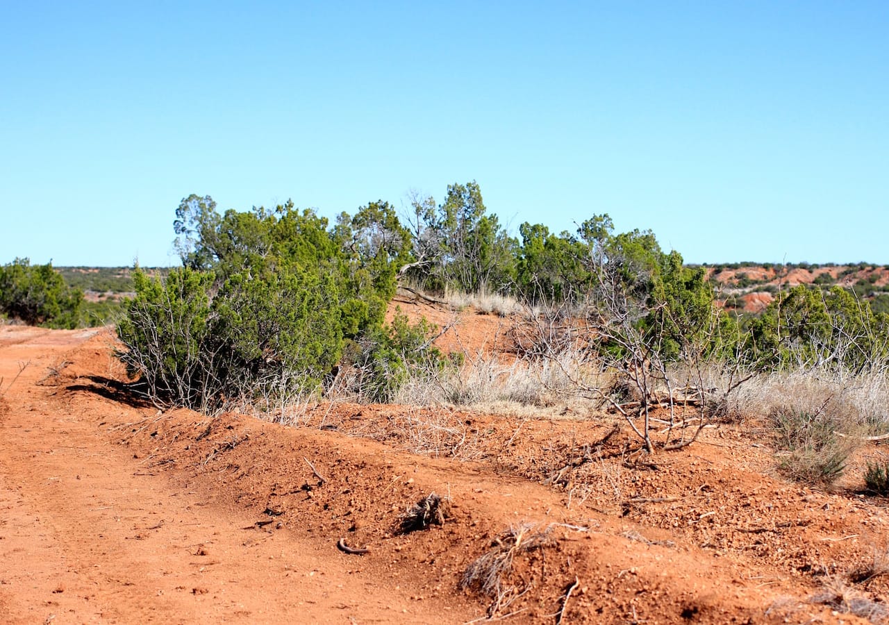 Red Rock Ranch Tract 13 photo 4