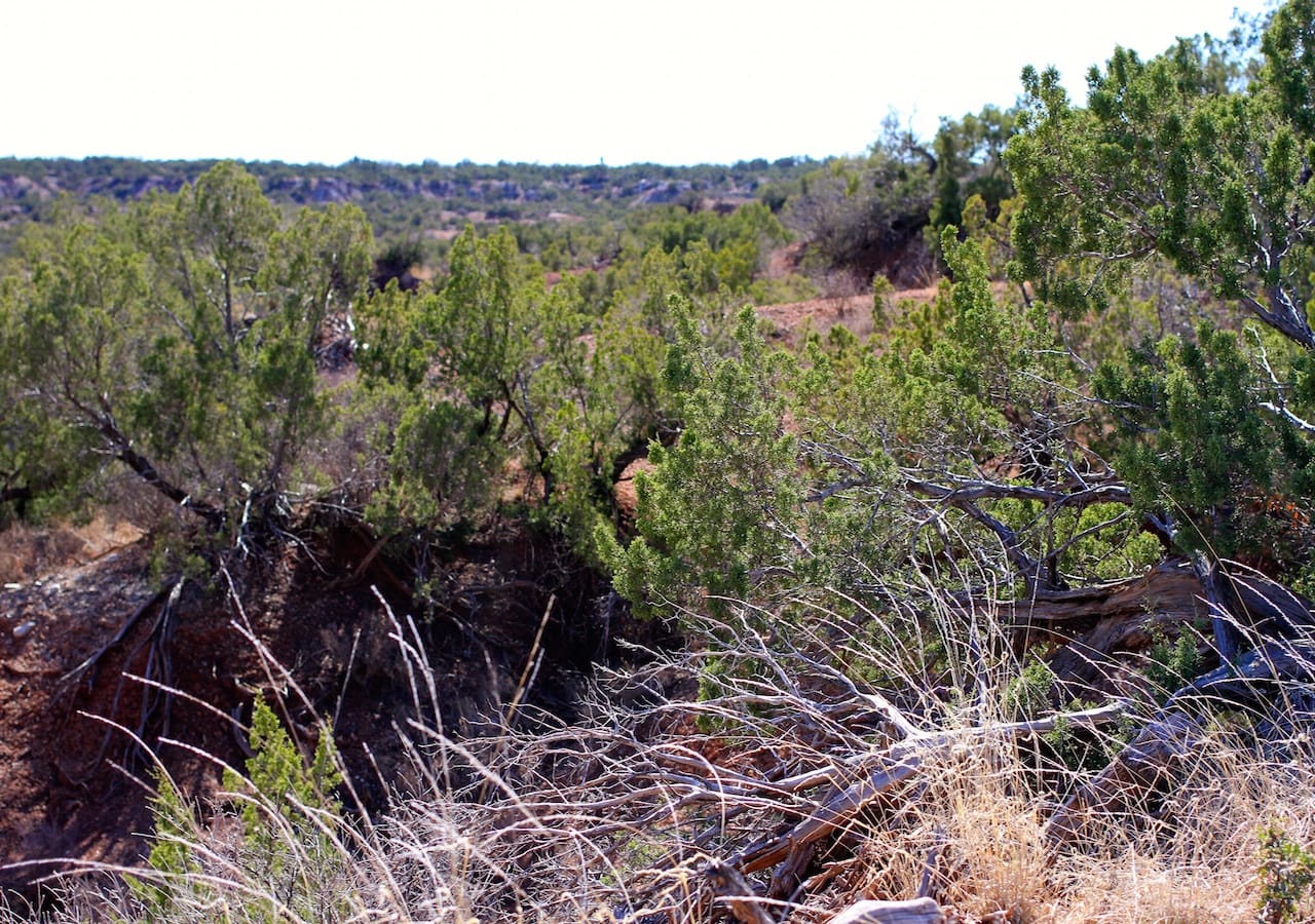 Red Rock Ranch Tract 13 photo 6