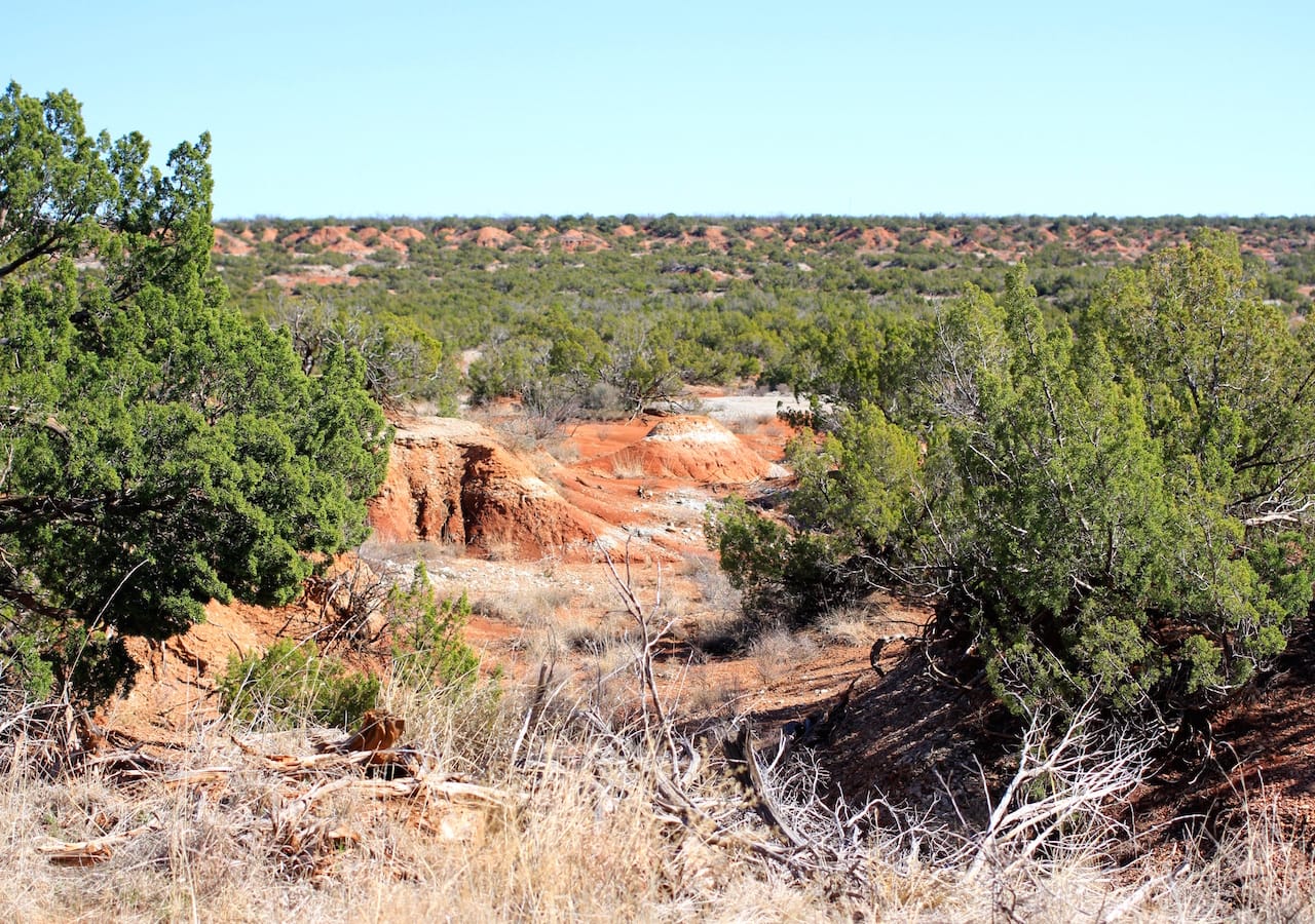Red Rock Ranch Tract 13 photo 7