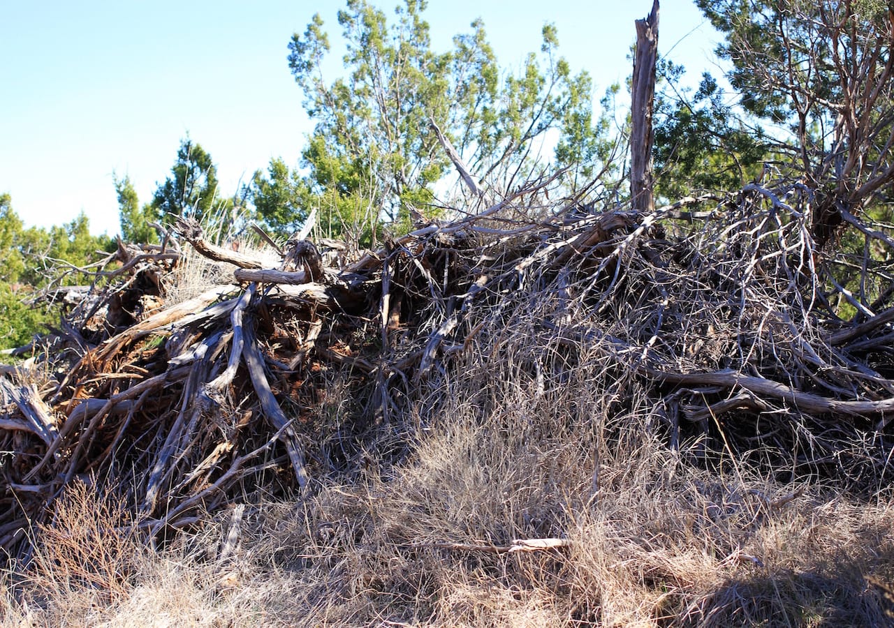 Red Rock Ranch Tract 13 photo 8