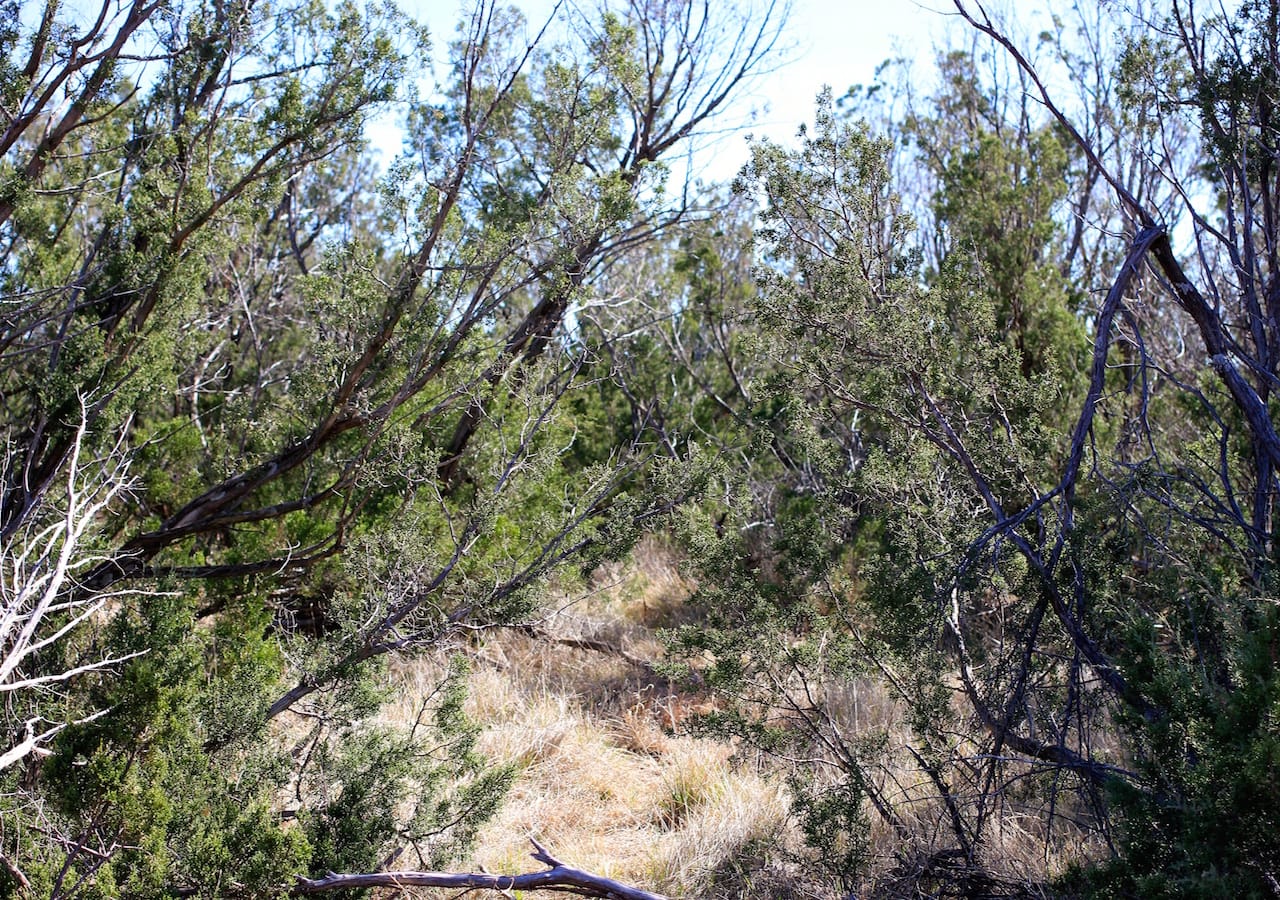 Red Rock Ranch Tract 13 photo 9