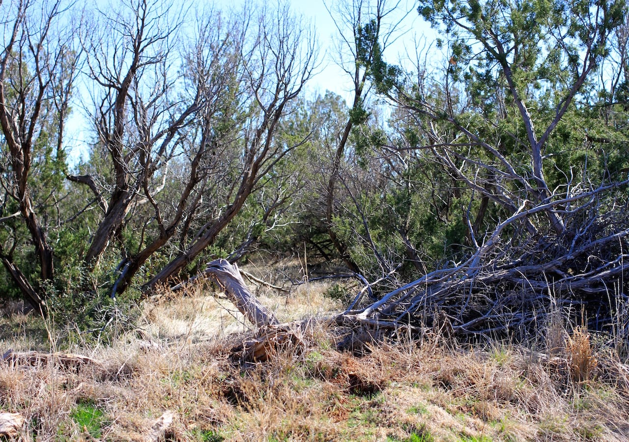 Red Rock Ranch Tract 13 photo 10