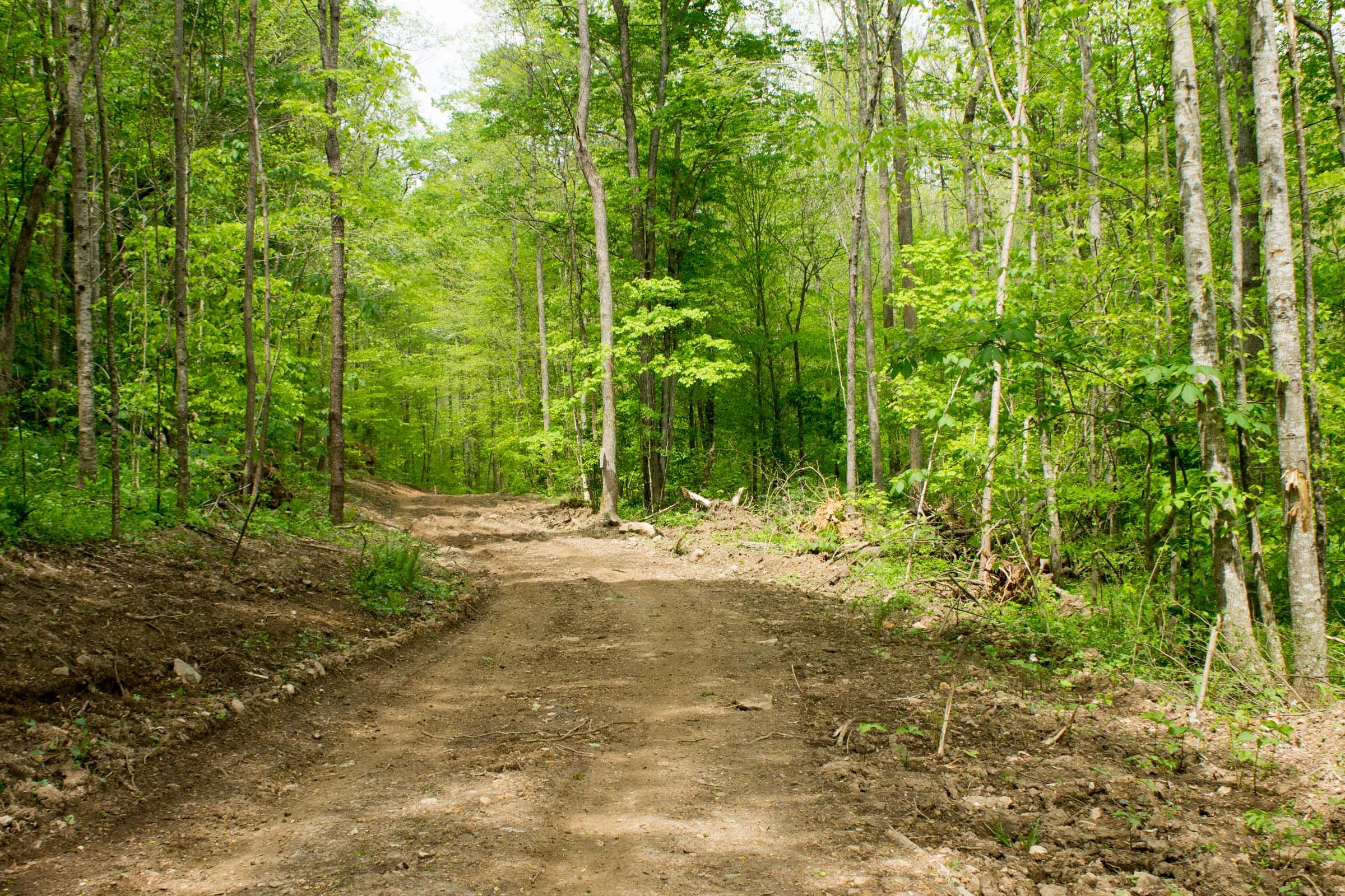 Trails End Tract 17 photo 3