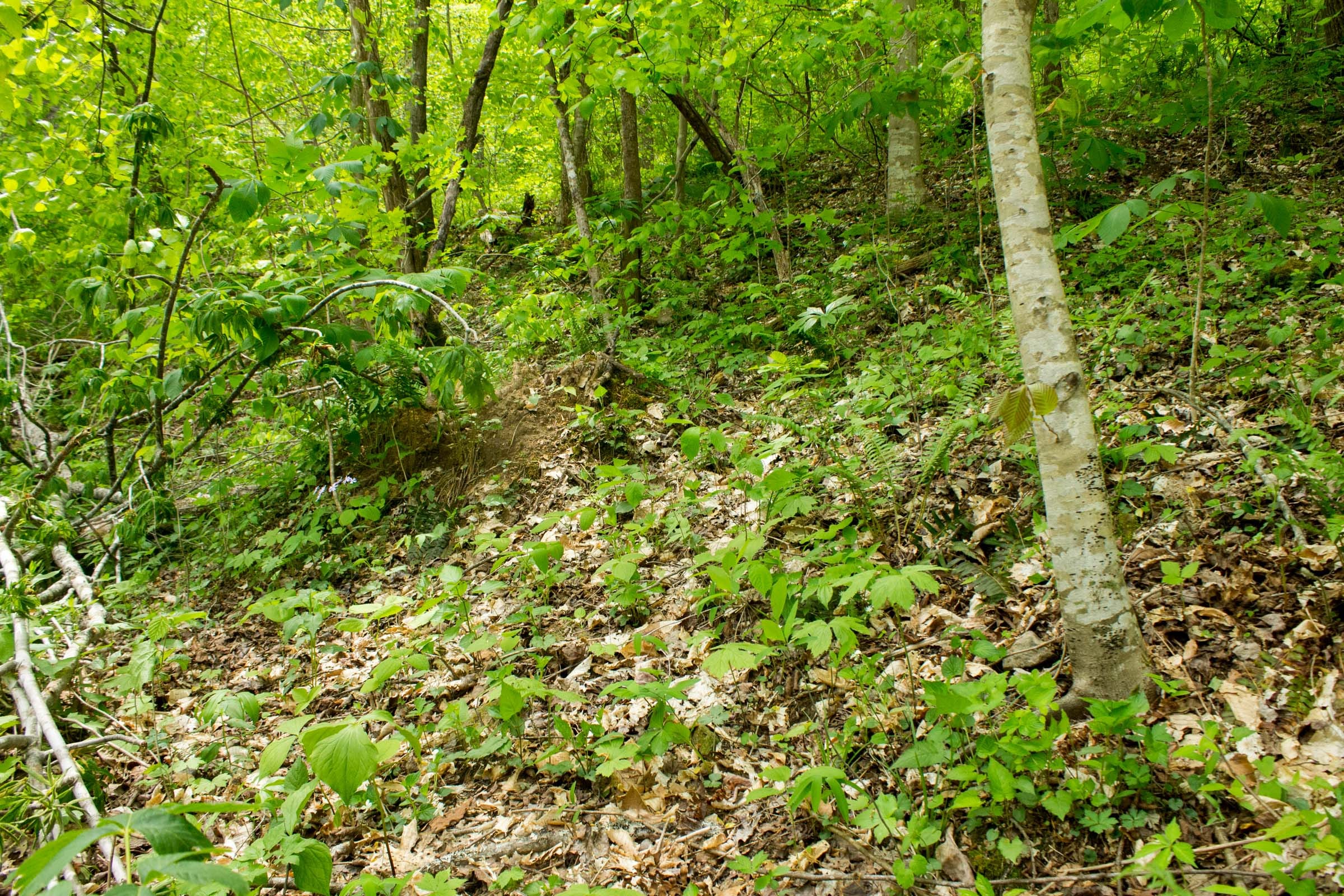 Trails End Tract 17 photo 6