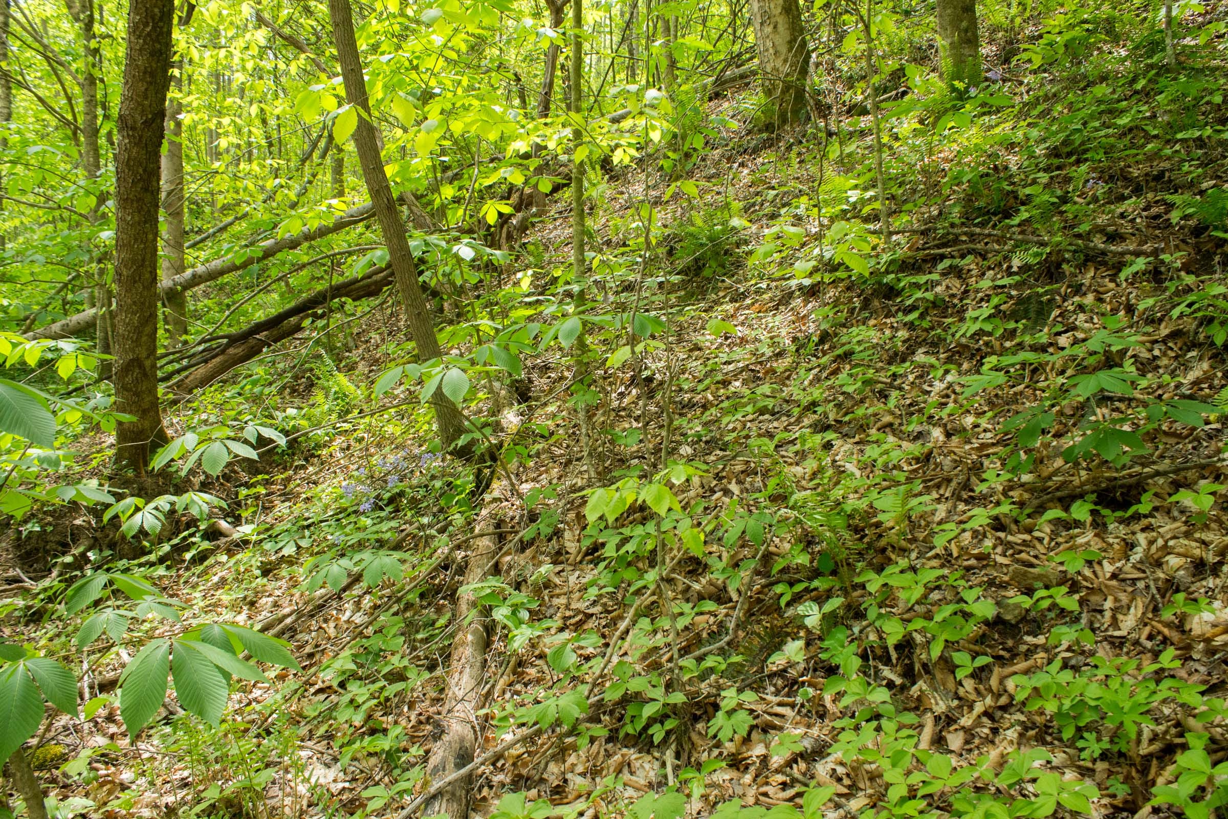 Trails End Tract 17 photo 10