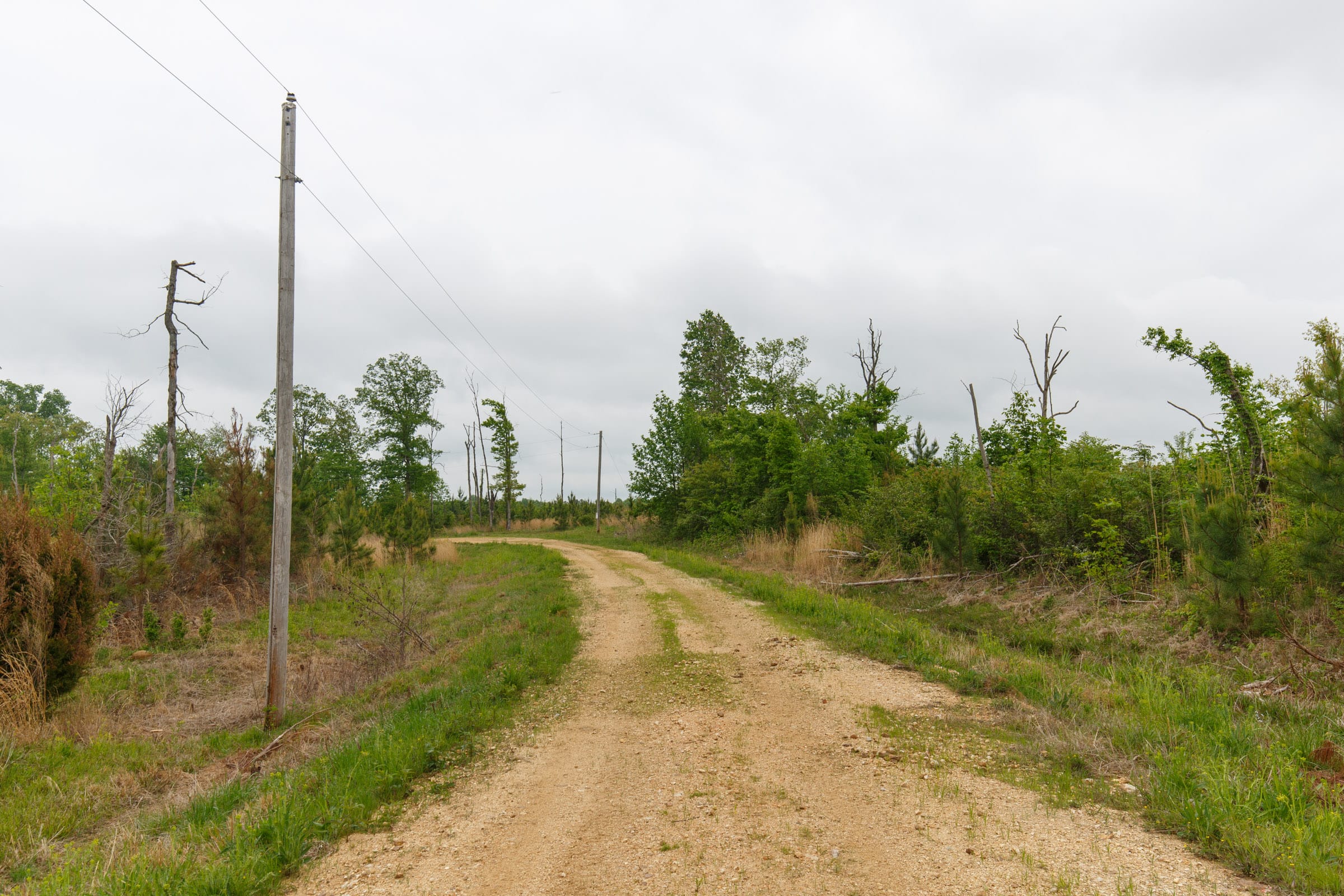 Red Barn Ranch Tract 13 photo 1