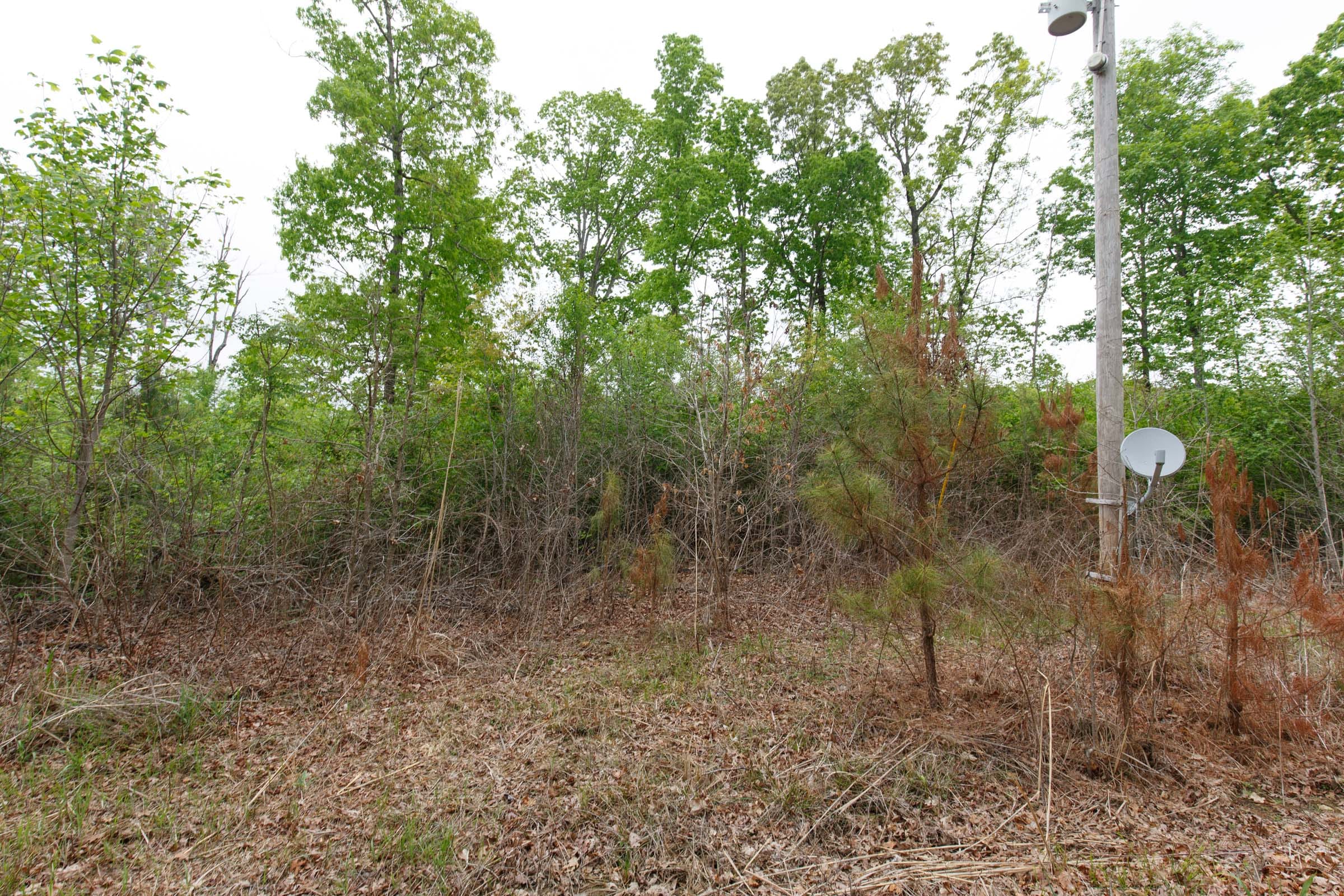 Red Barn Ranch Tract 13 photo 12