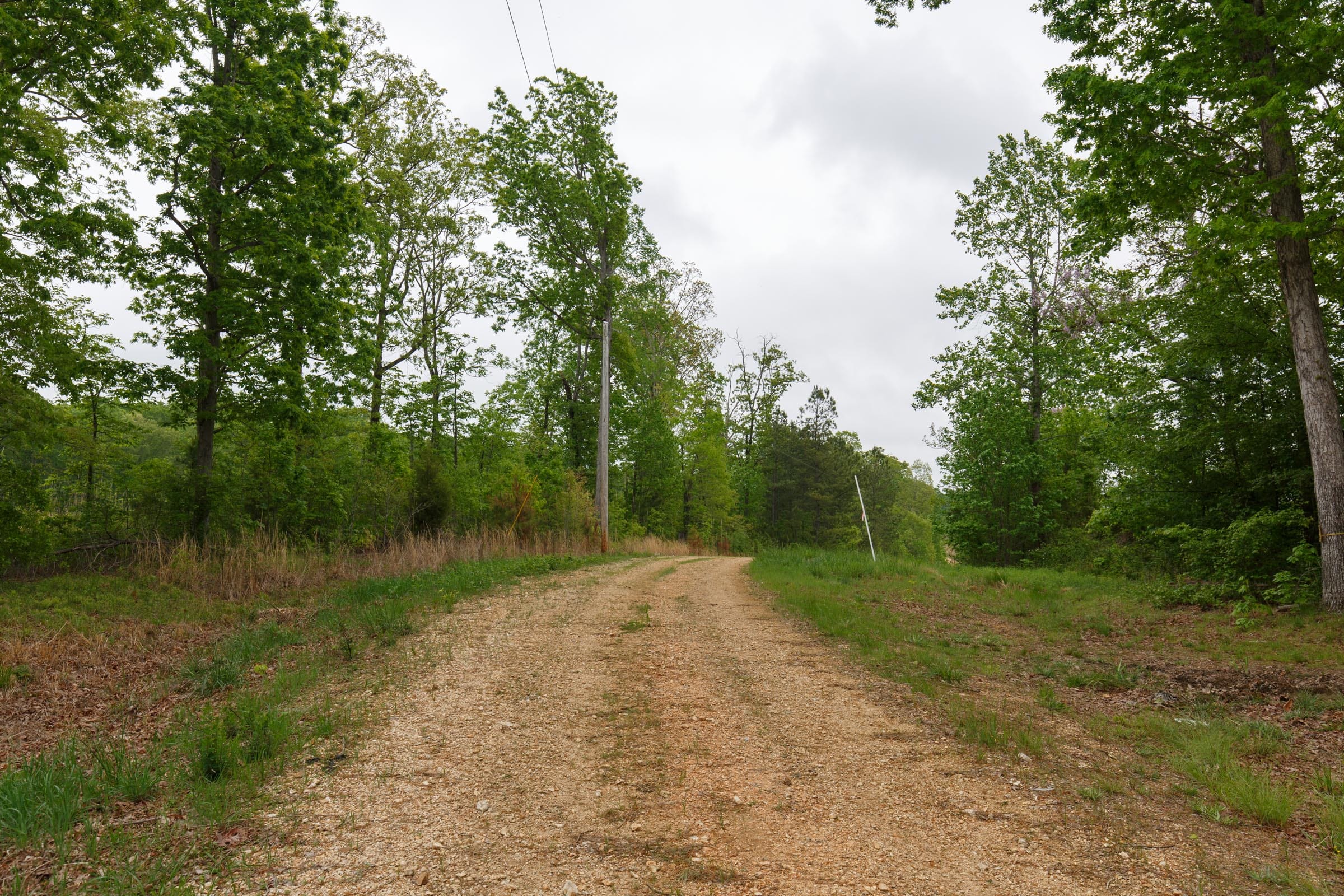 Red Barn Ranch Tract 13 photo 11
