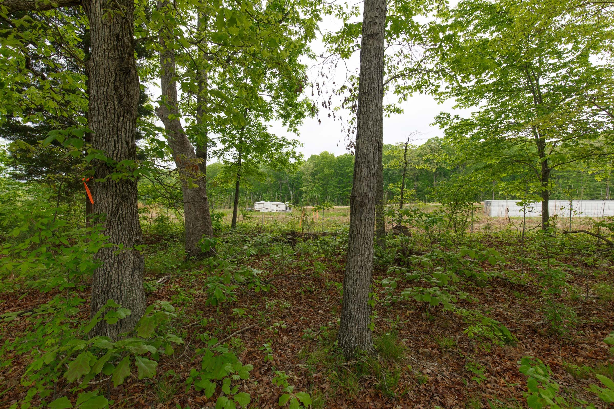 Red Barn Ranch Tract 13 photo 10
