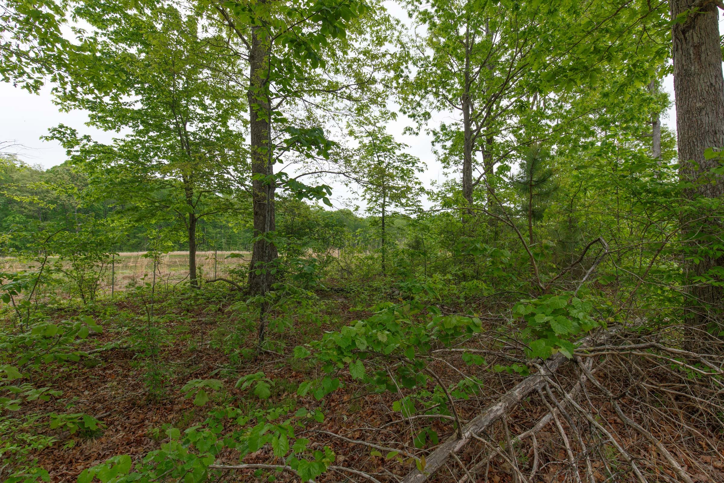 Red Barn Ranch Tract 13 photo 13
