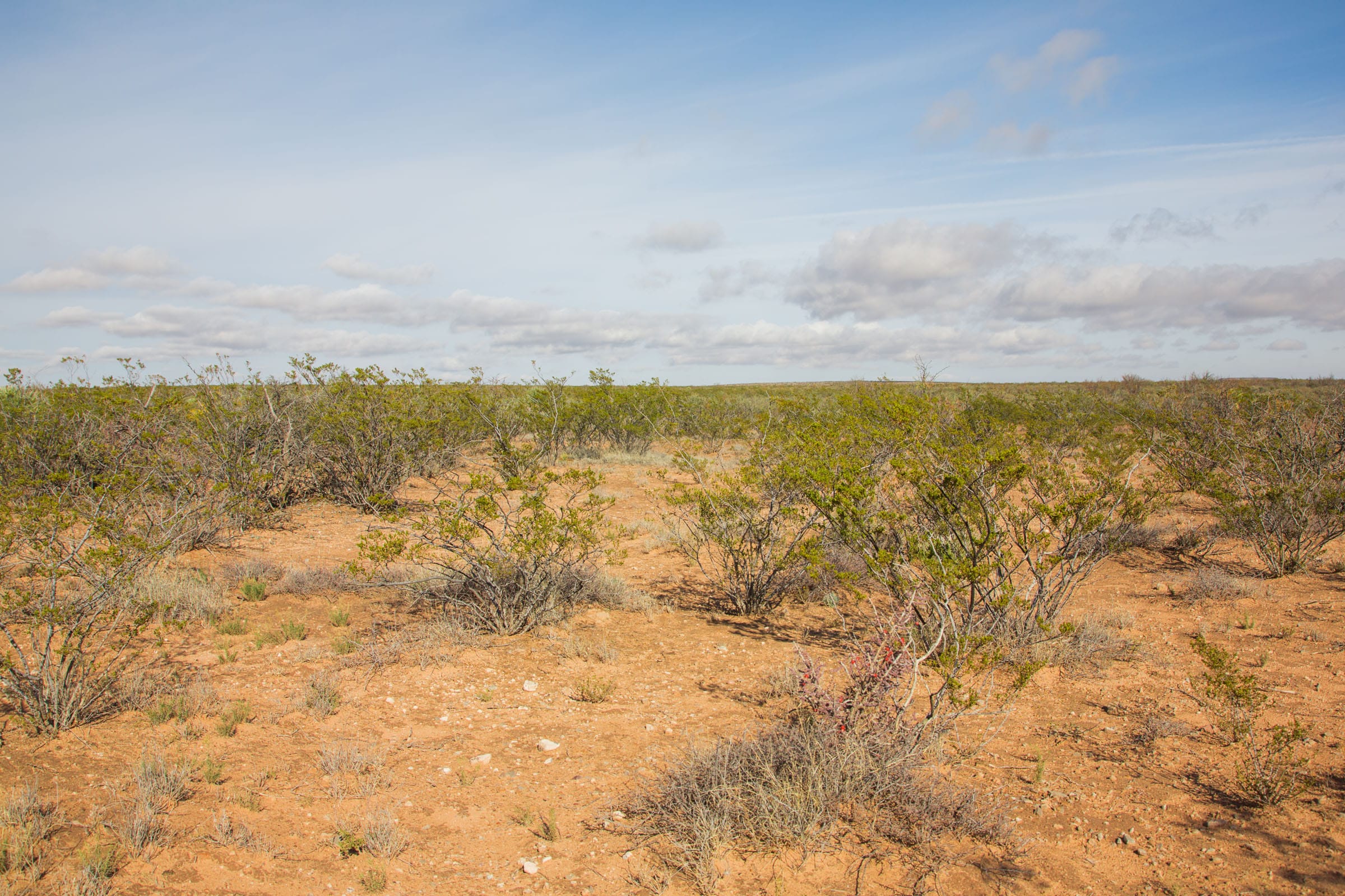 Sunset Ranches Tract 17 photo 9