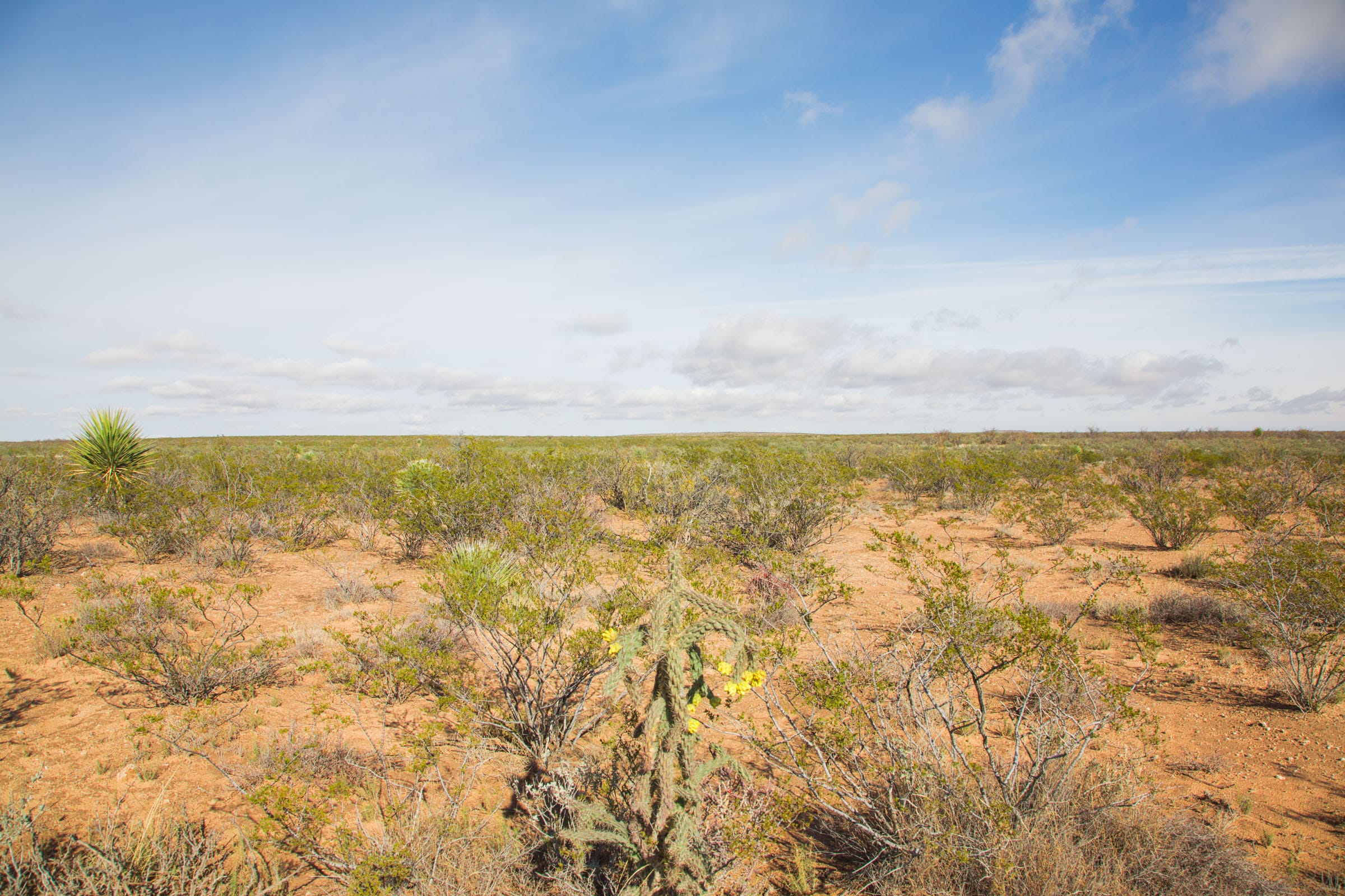 Sunset Ranches Tract 17 photo 10
