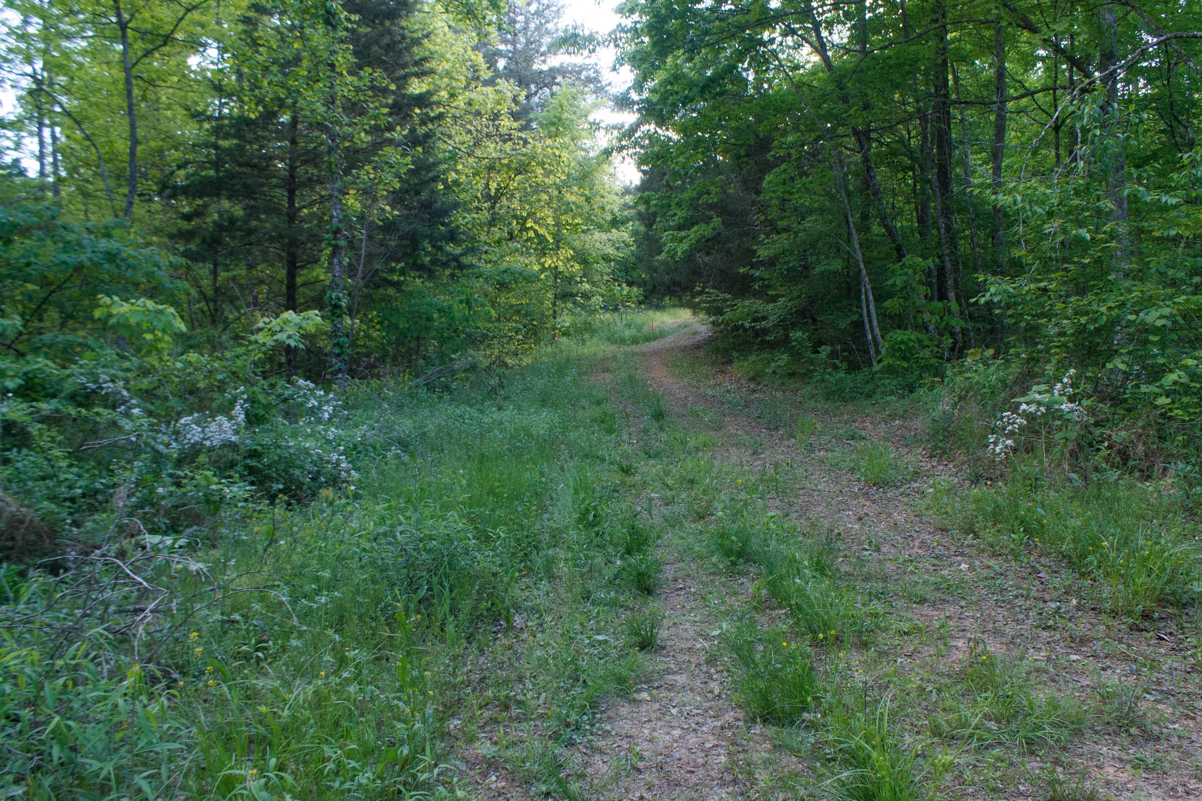 Riverbend Tract 24 photo 1