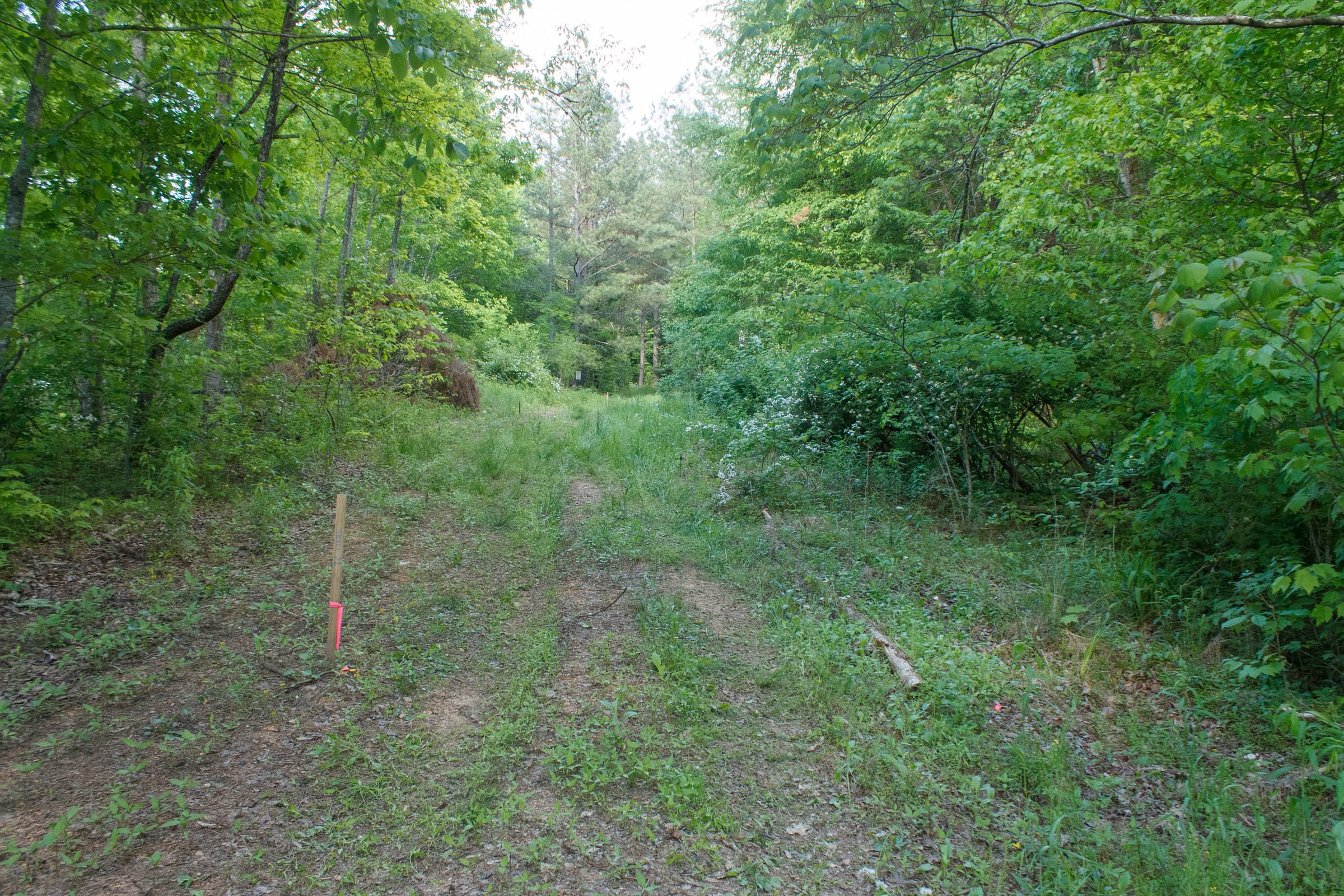 Riverbend Tract 24 photo 4
