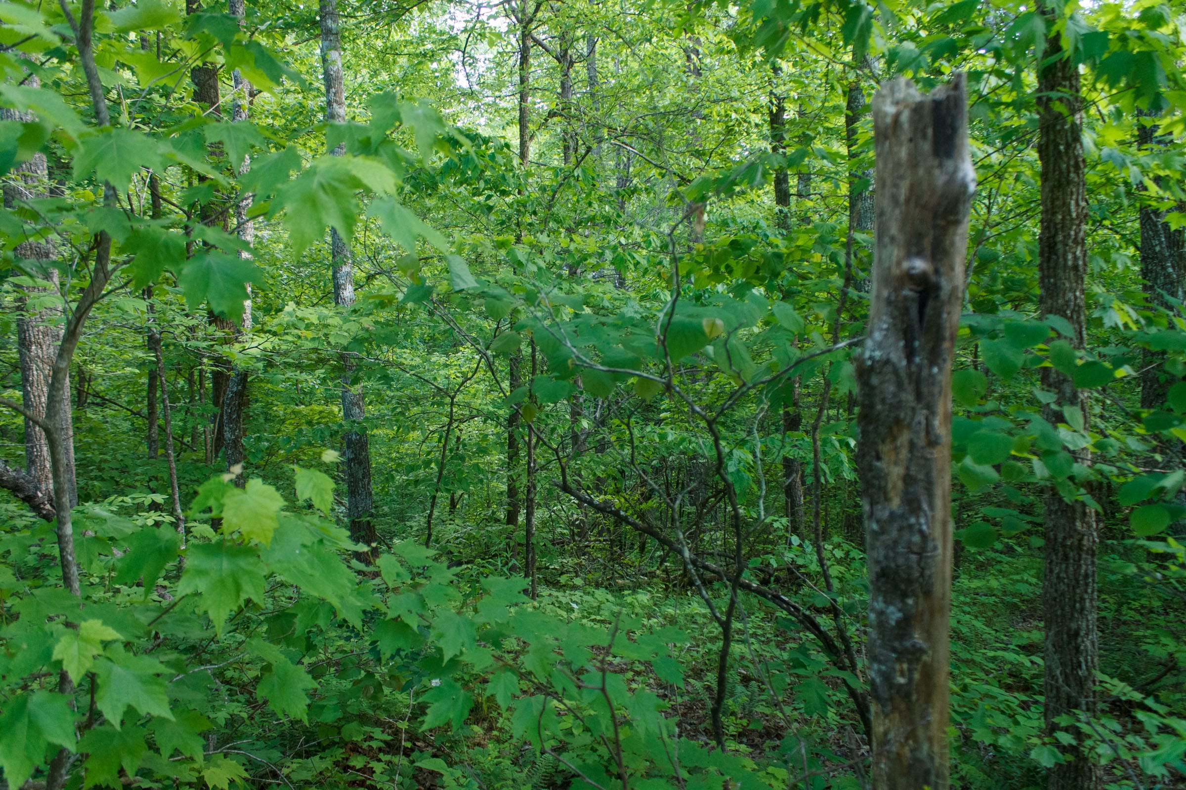 Riverbend Tract 24 photo 5