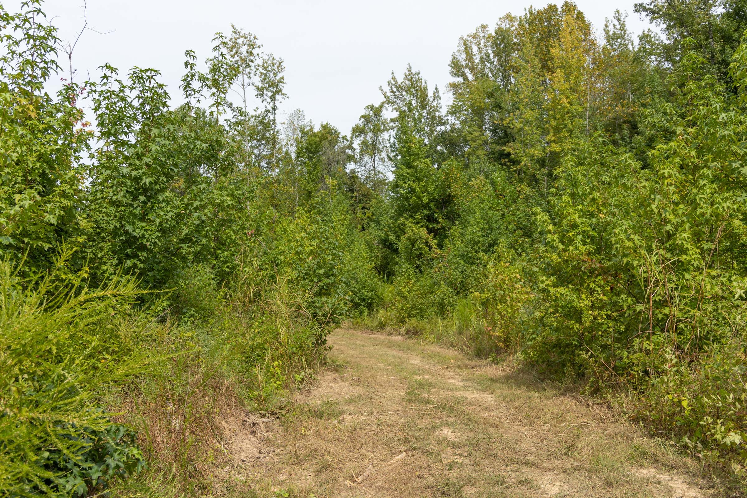 Big White Oak Tract 125 photo 12