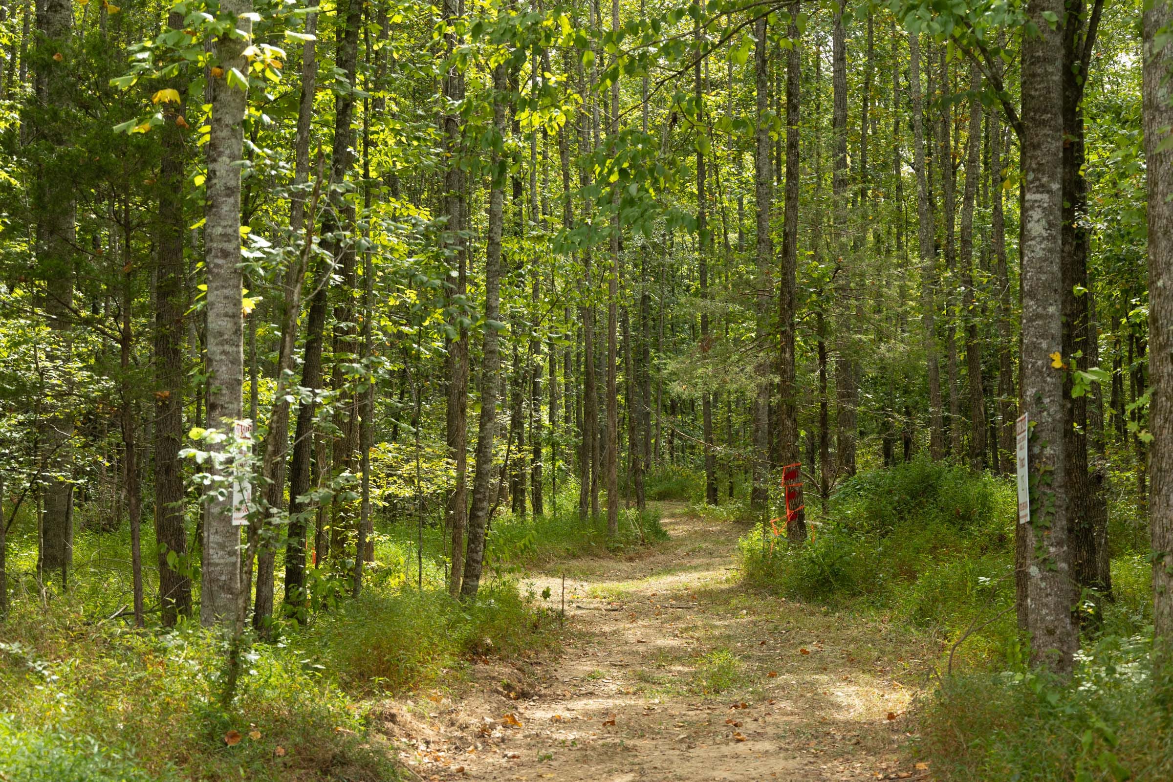 Big White Oak Tract 125 photo 4