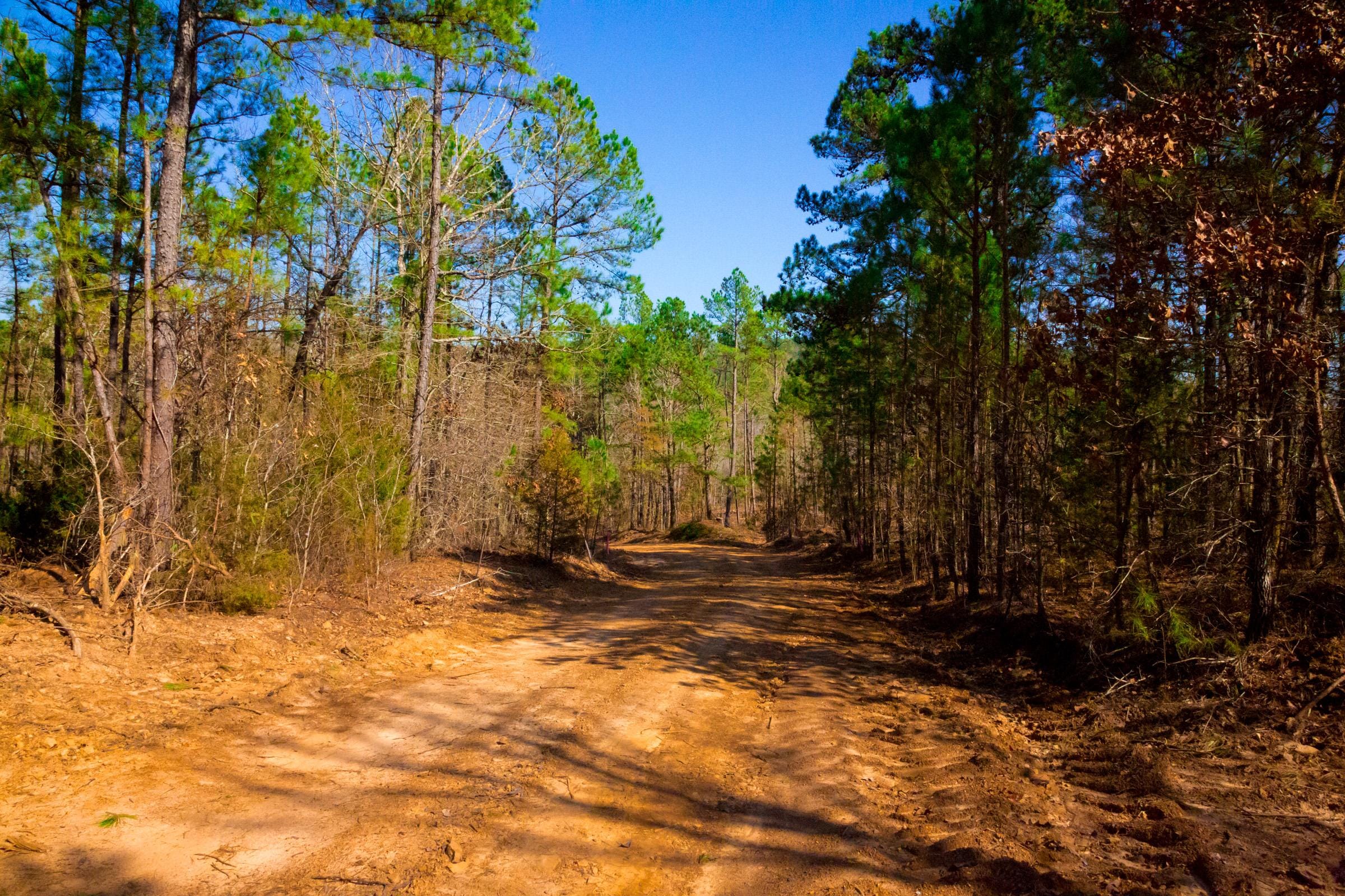 Stone Creek Phase II Tract 119 photo 18