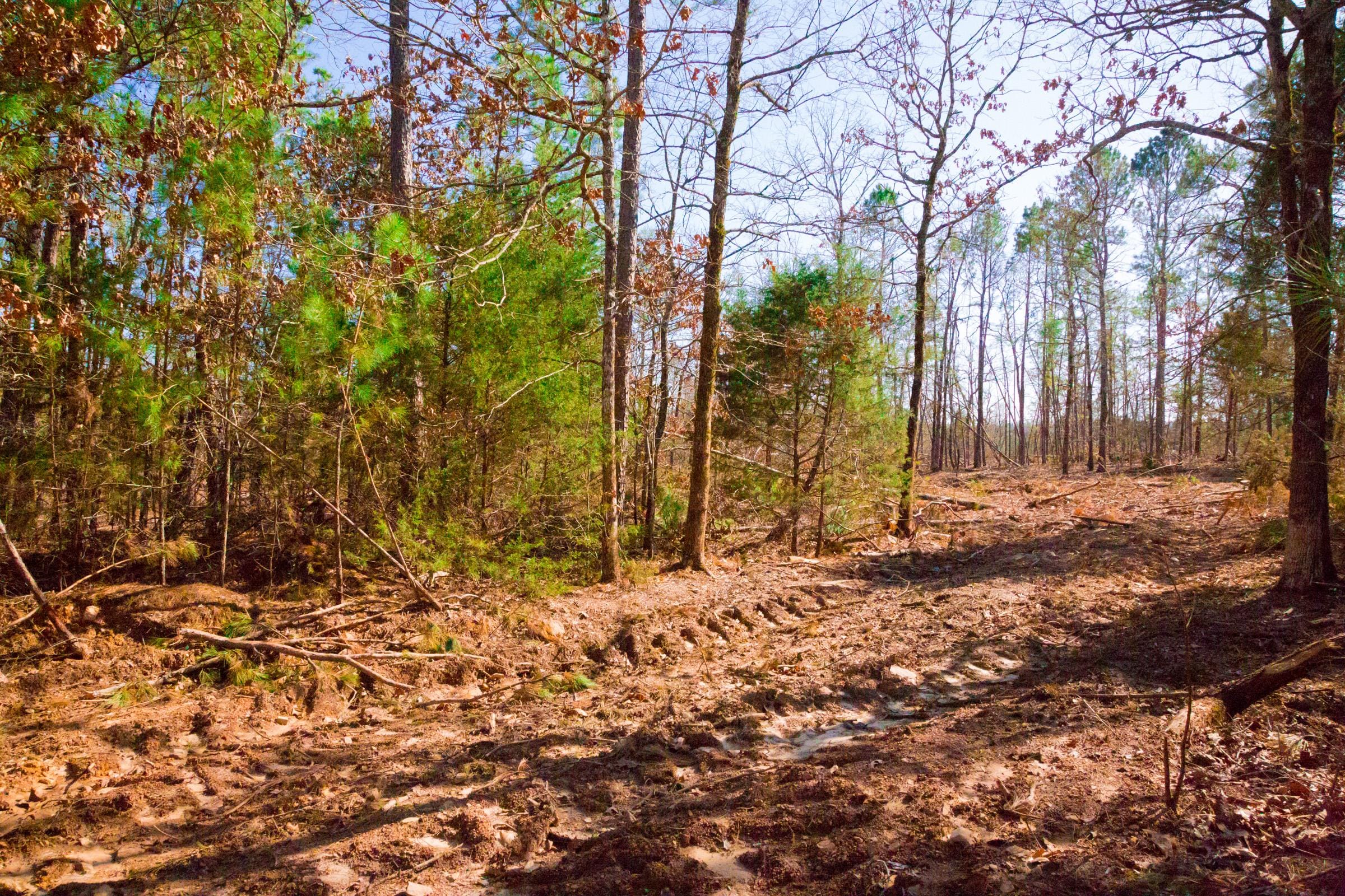 Stone Creek Phase II Tract 119 photo 16