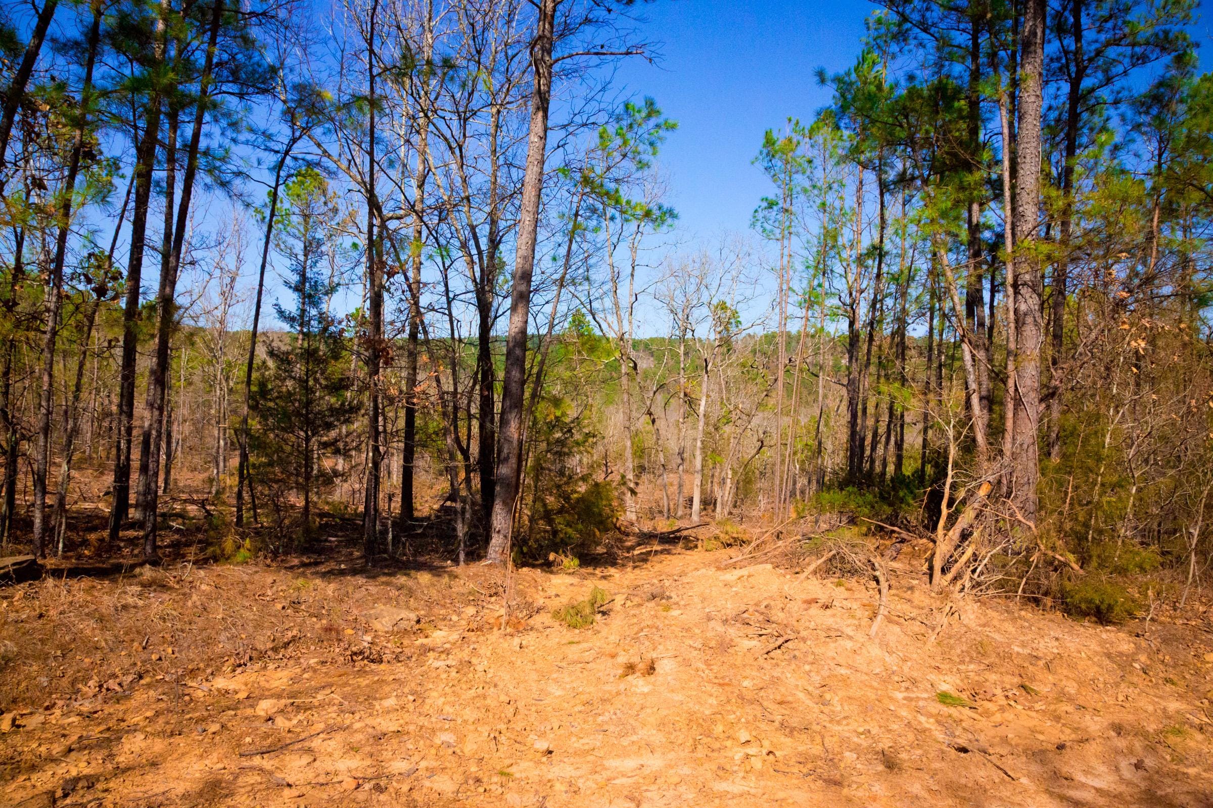 Stone Creek Phase II Tract 119 photo 17