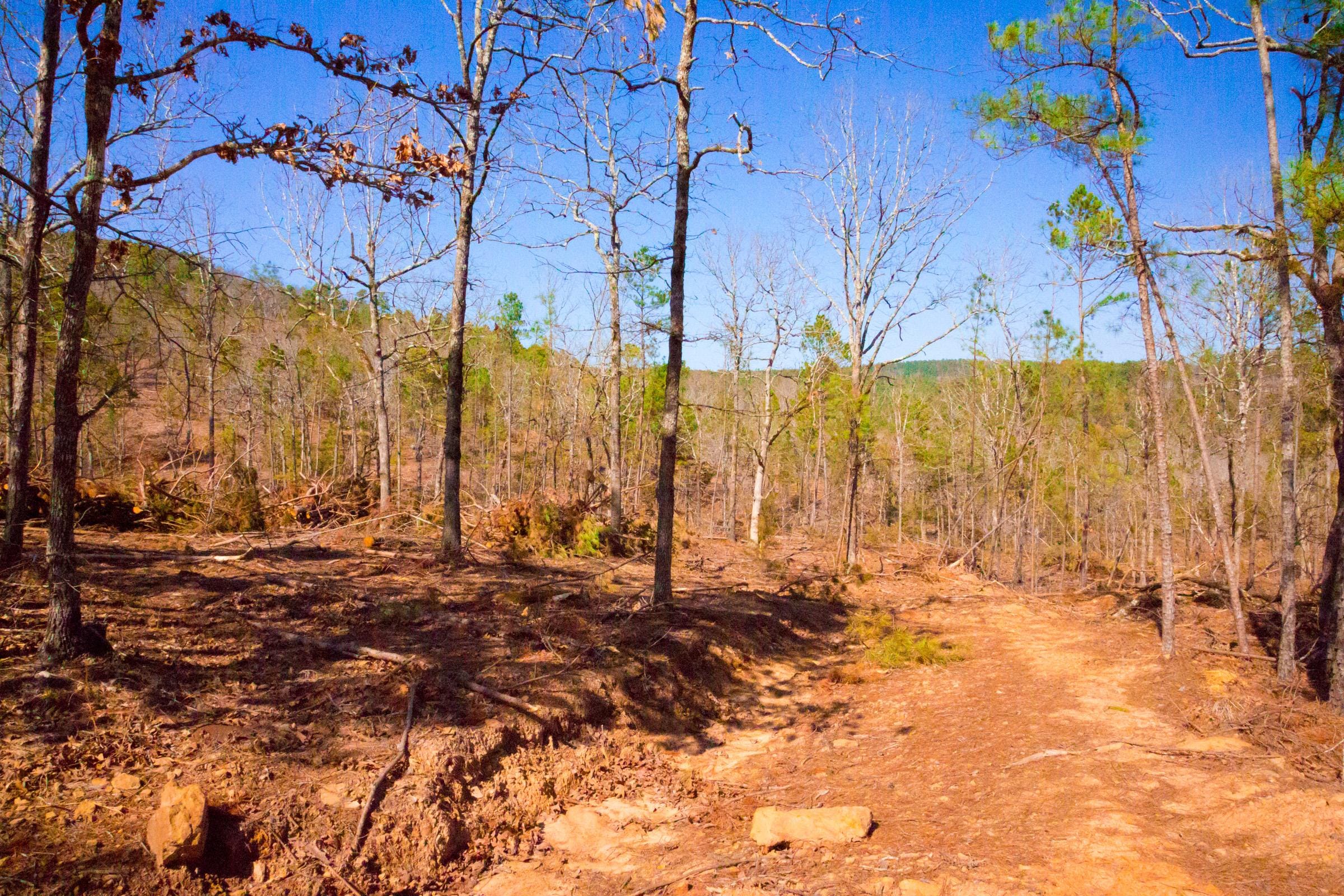 Stone Creek Phase II Tract 119 photo 20