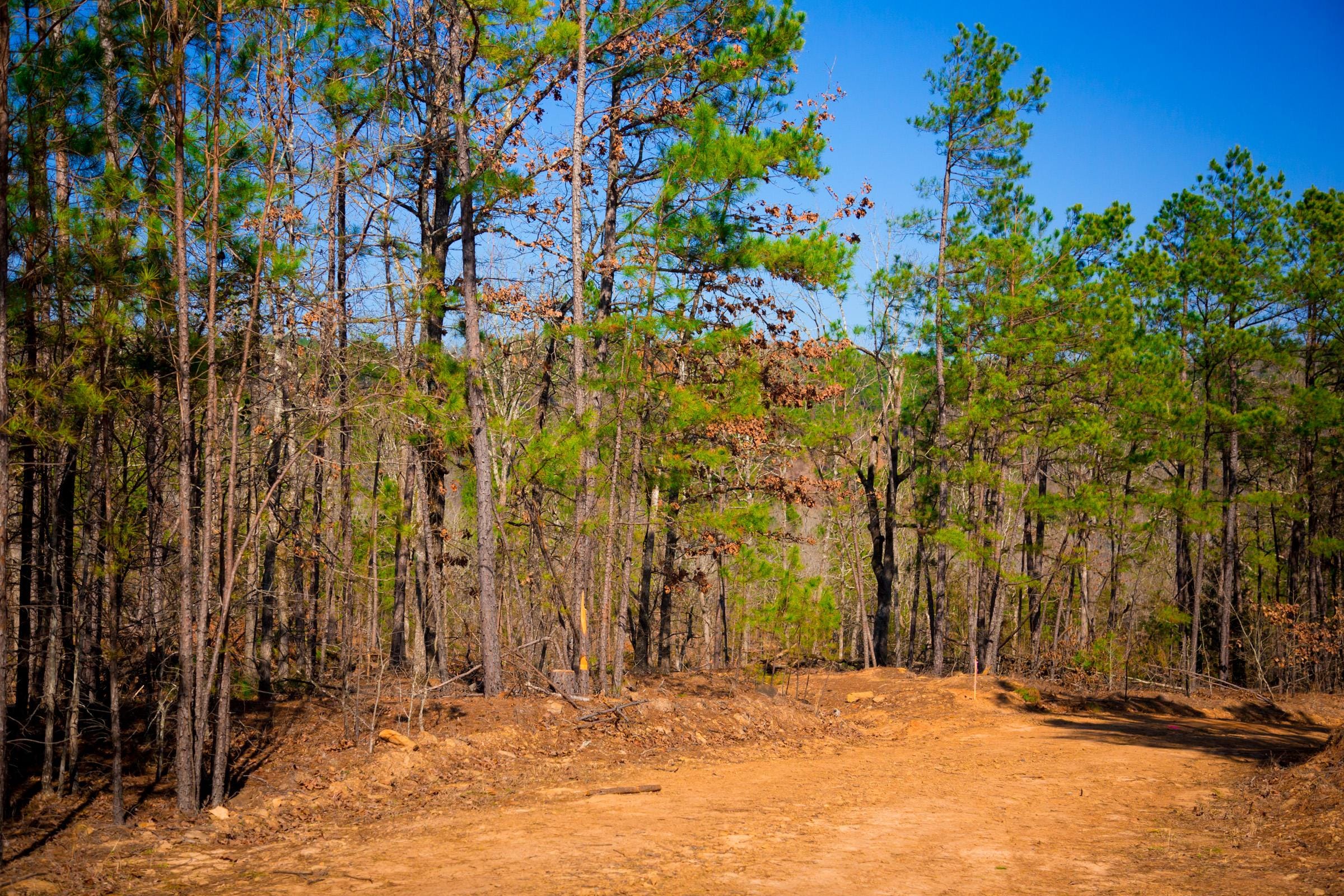 Stone Creek Phase II Tract 119 photo 23