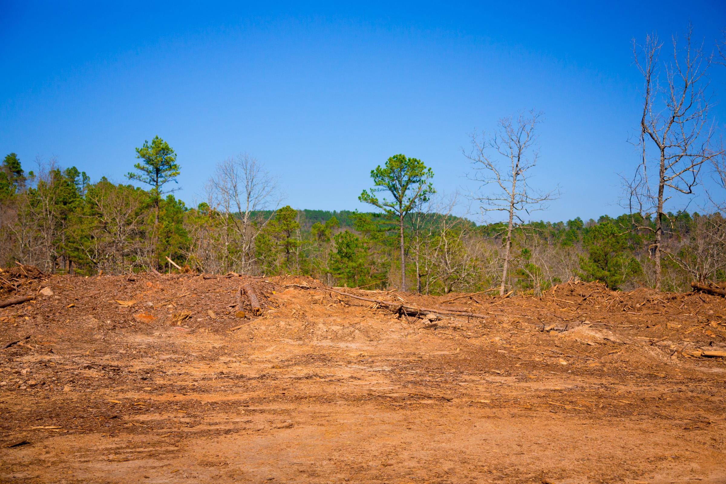 Stone Creek Phase II Tract 119 photo 24