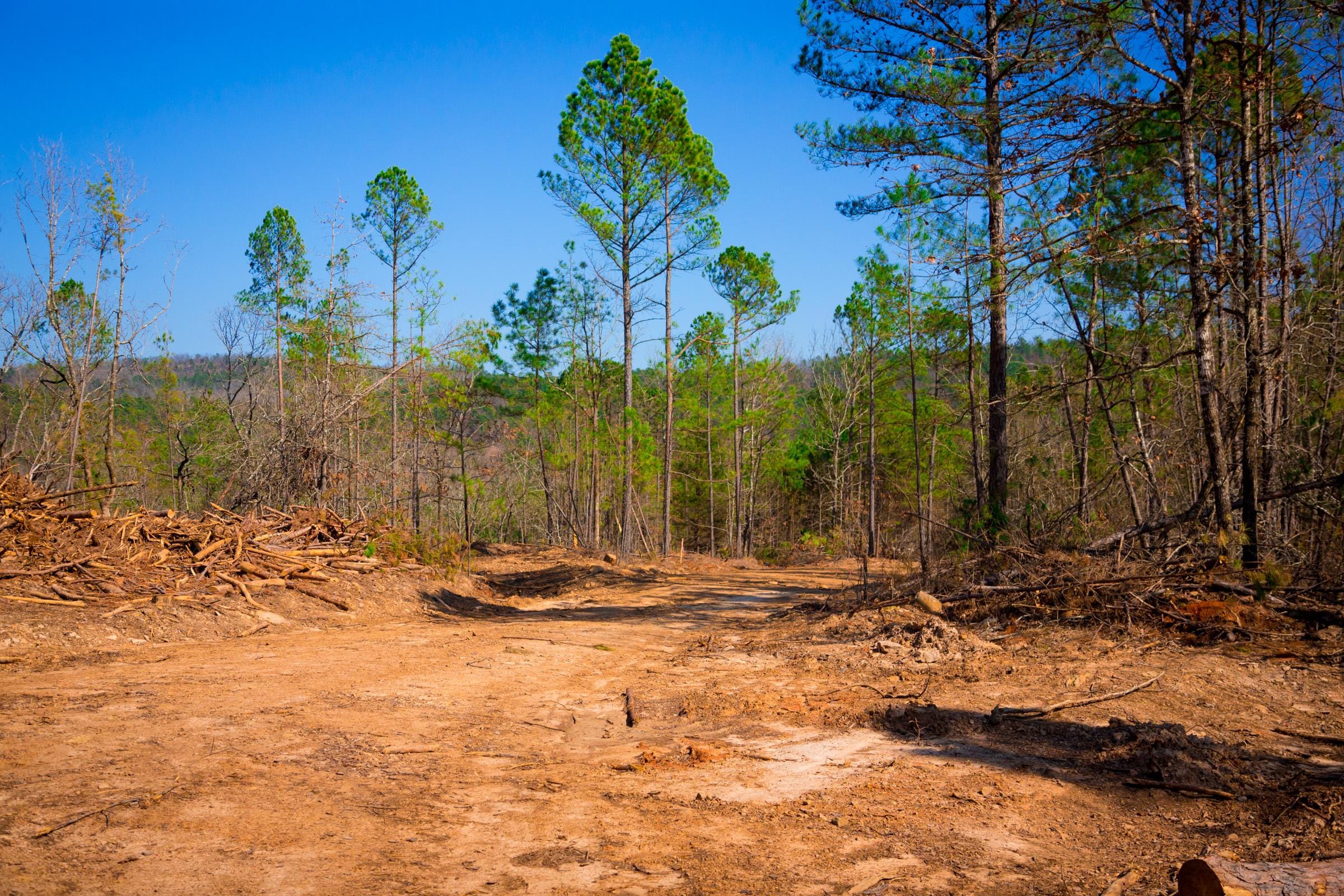 Stone Creek Phase II Tract 119 photo 25