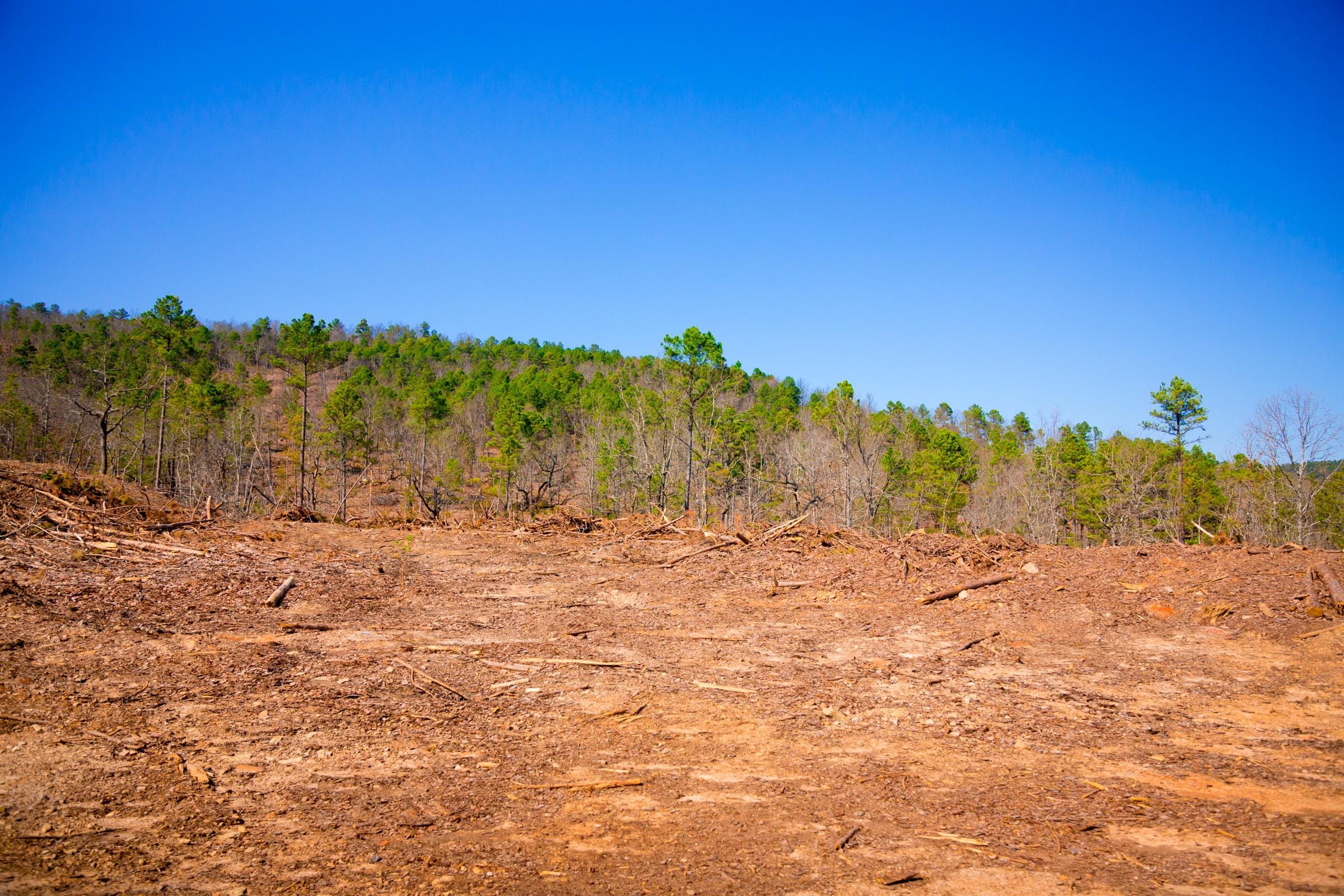 Stone Creek Phase II Tract 119 photo 26