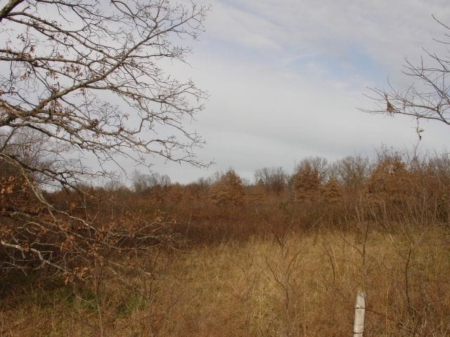 Mountain View Ranch Tract 1 photo 2