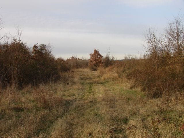 Mountain View Ranch Tract 1 photo 7