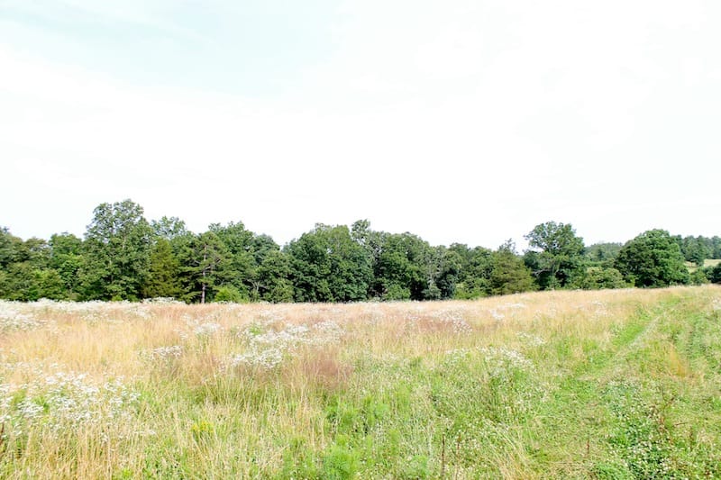 Green Mountain Ranch Tract 31 photo 2
