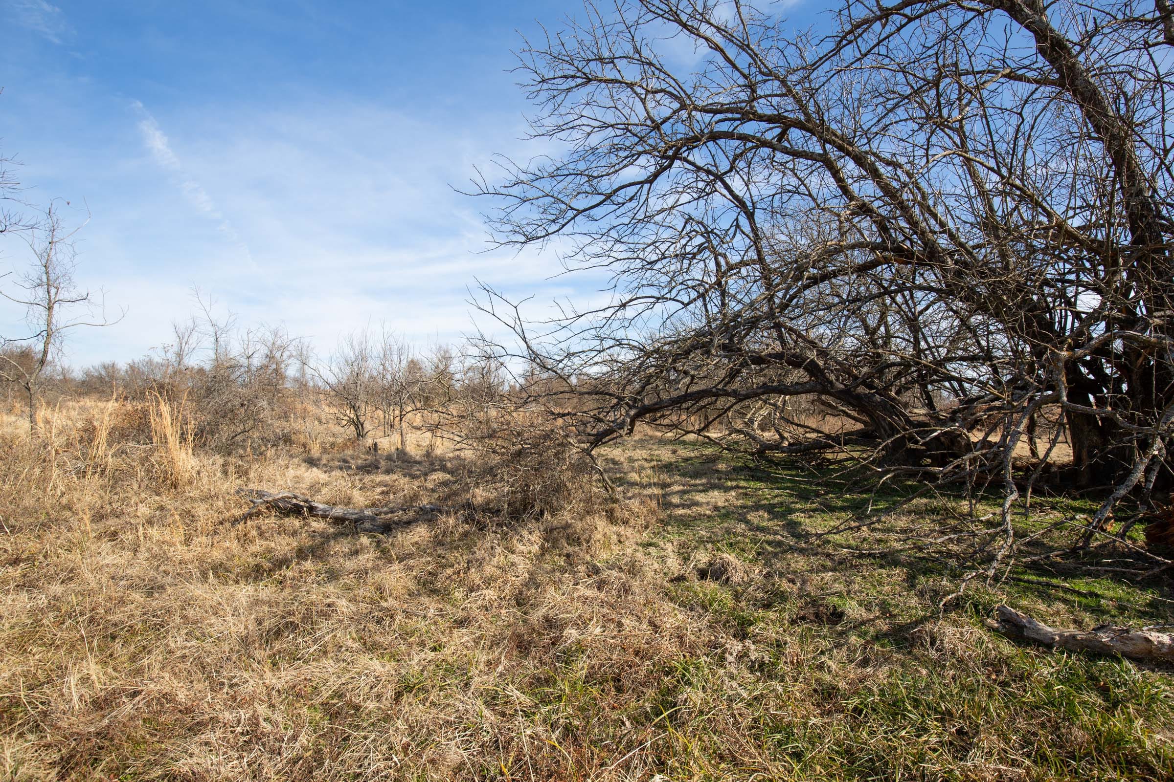 Painted Horse Tract 24 photo 9