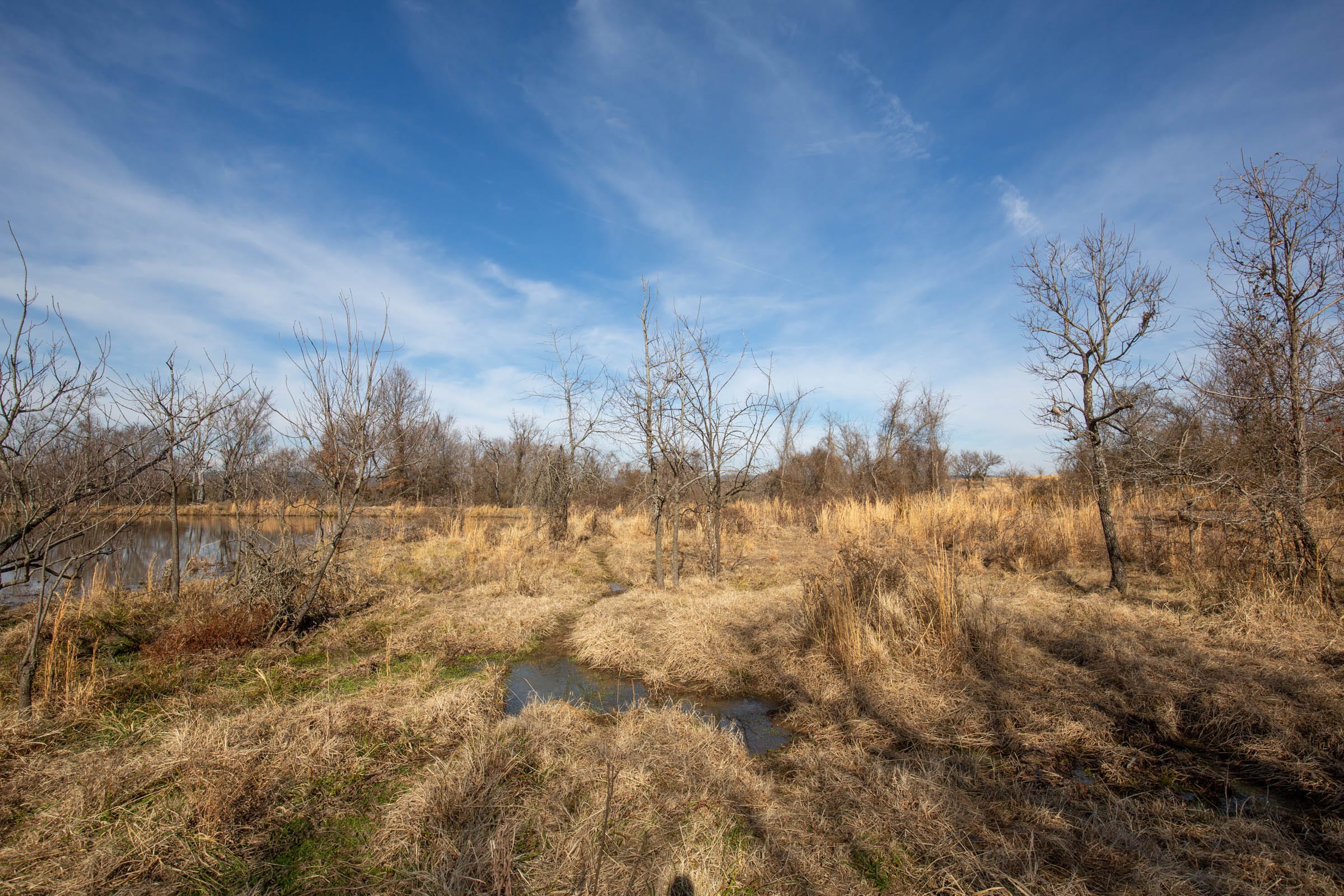 Painted Horse Tract 24 photo 6