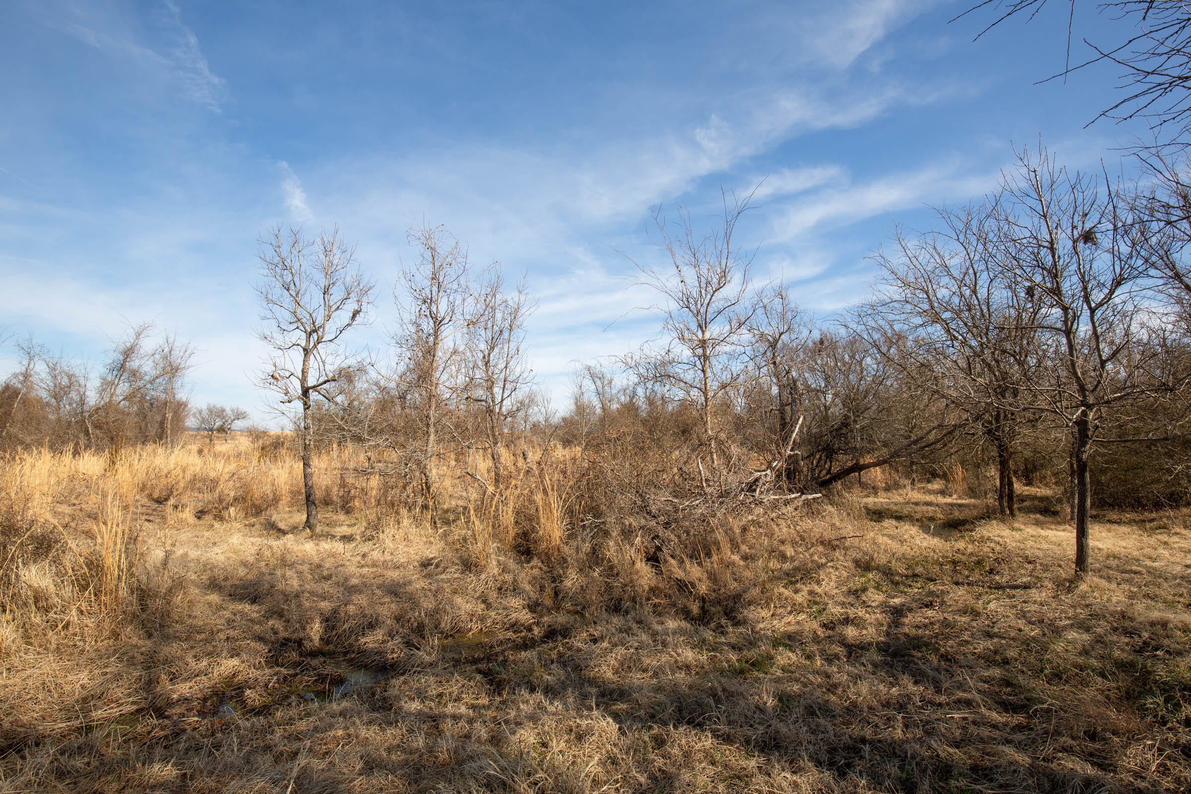 Painted Horse Tract 24 photo 11
