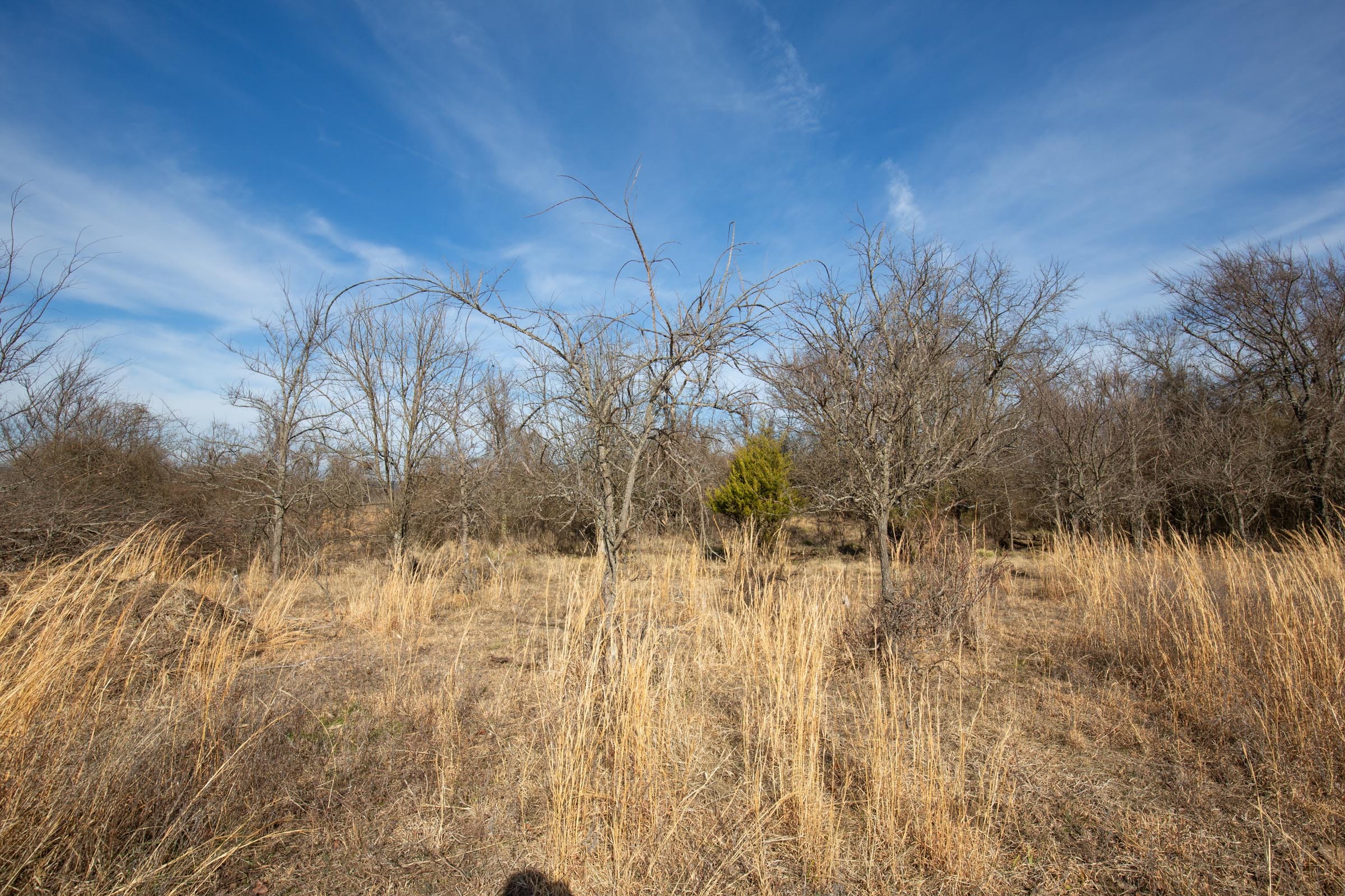 Painted Horse Tract 24 photo 5