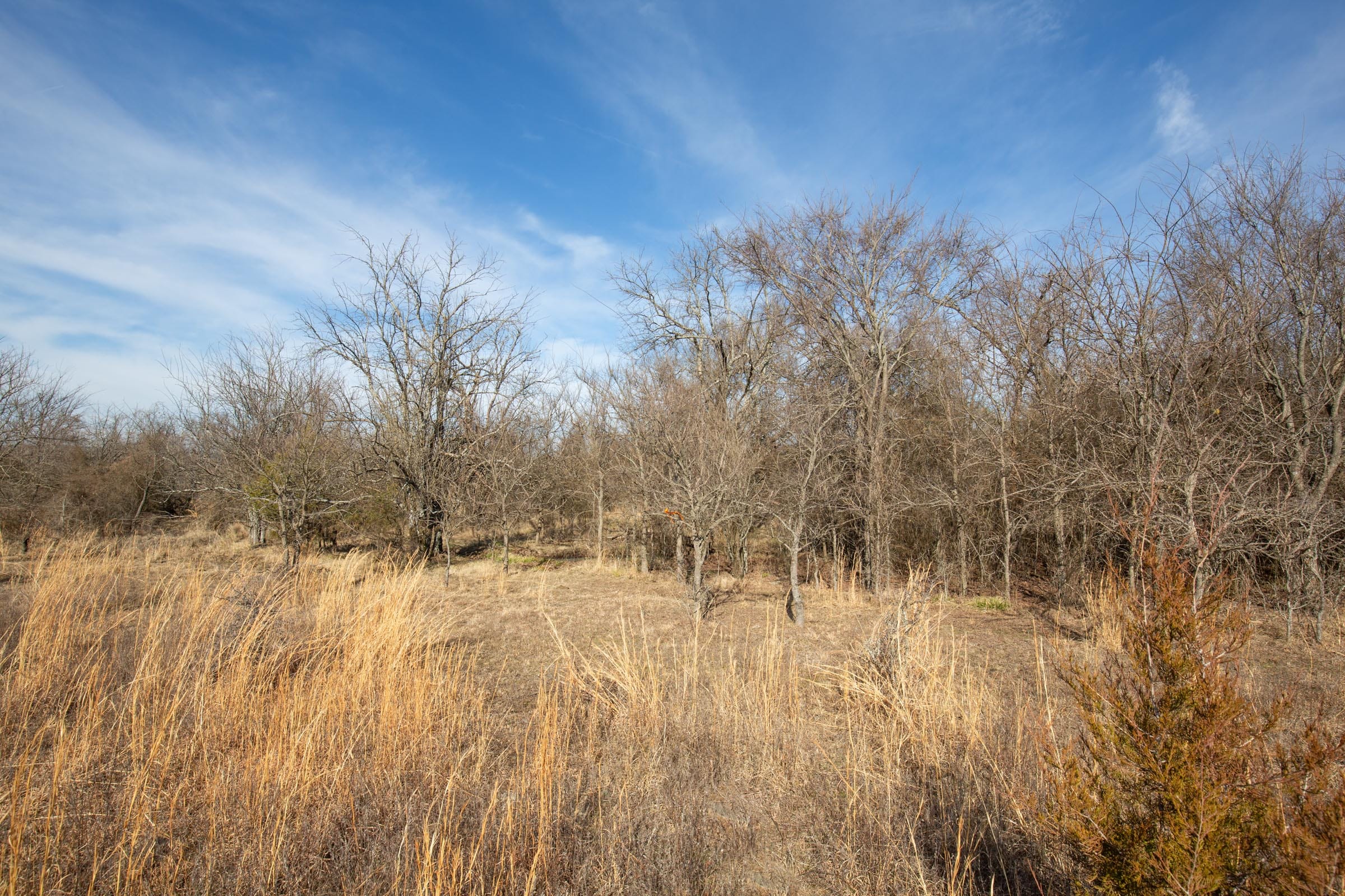 Painted Horse Tract 24 photo 7