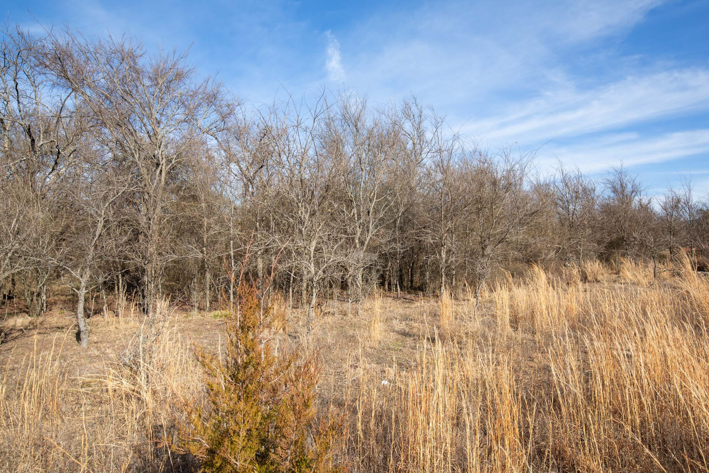 Painted Horse Tract 24 photo 10