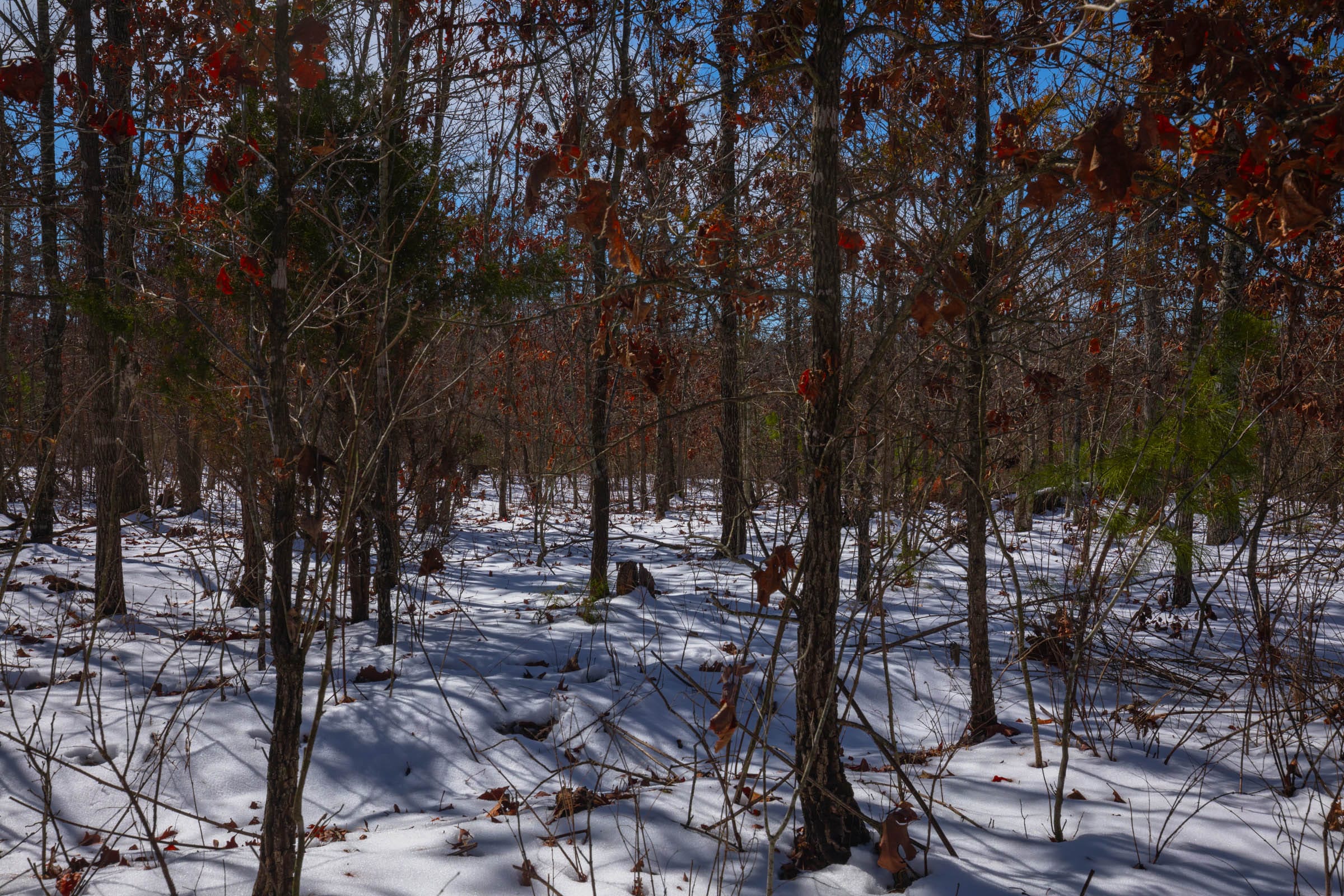 Sleepy Hollow Phase I Tract 58 photo 12