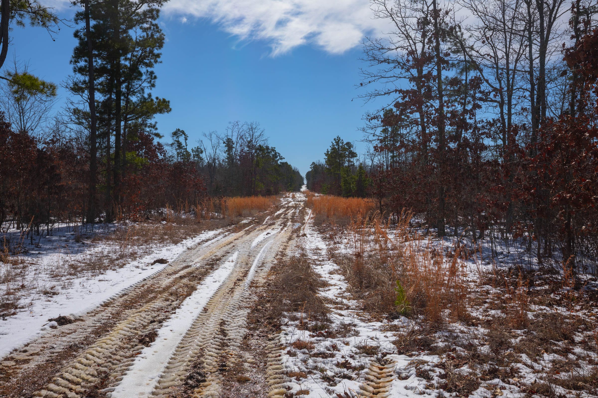 Sleepy Hollow Phase I Tract 58 photo 1
