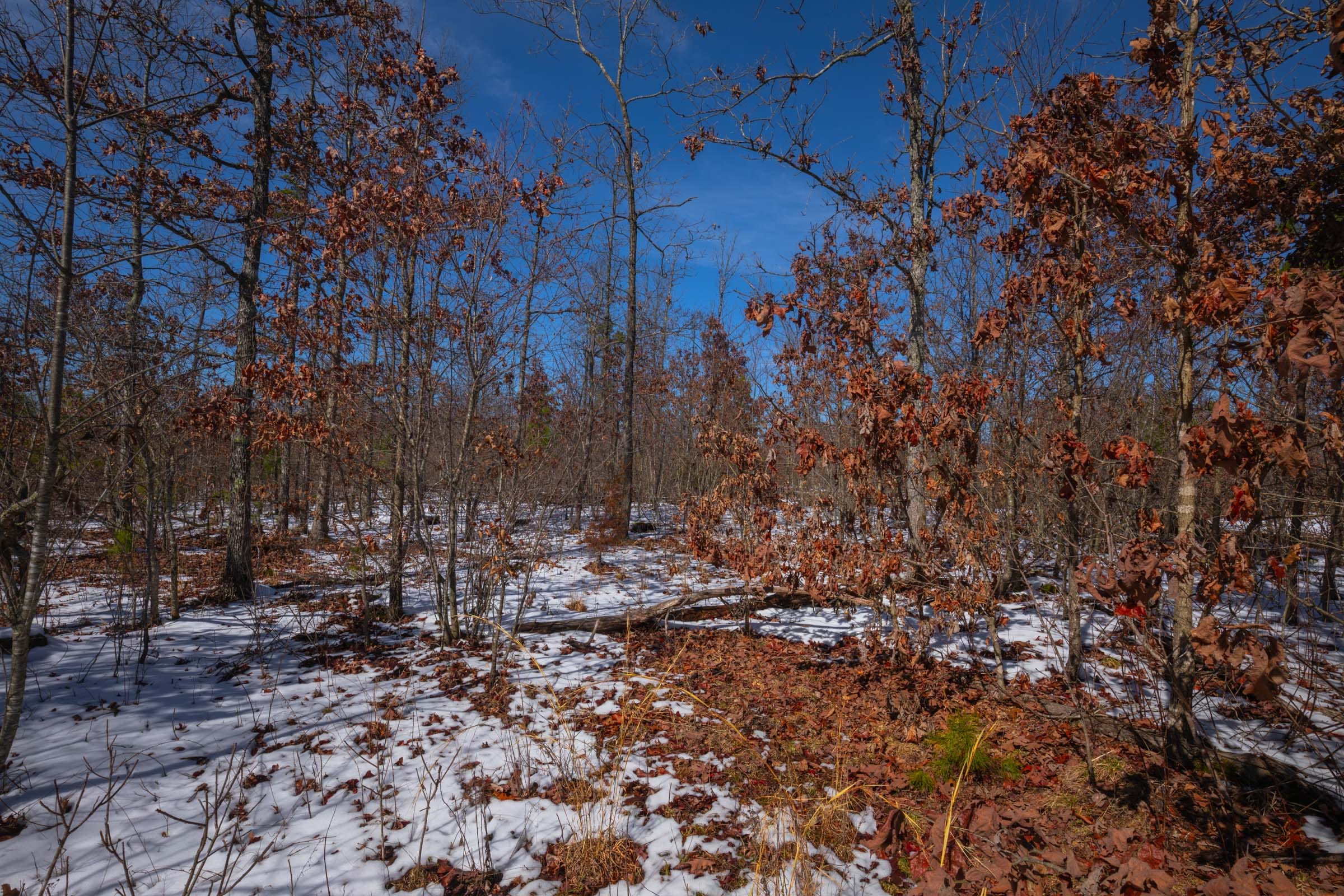 Sleepy Hollow Phase I Tract 58 photo 8
