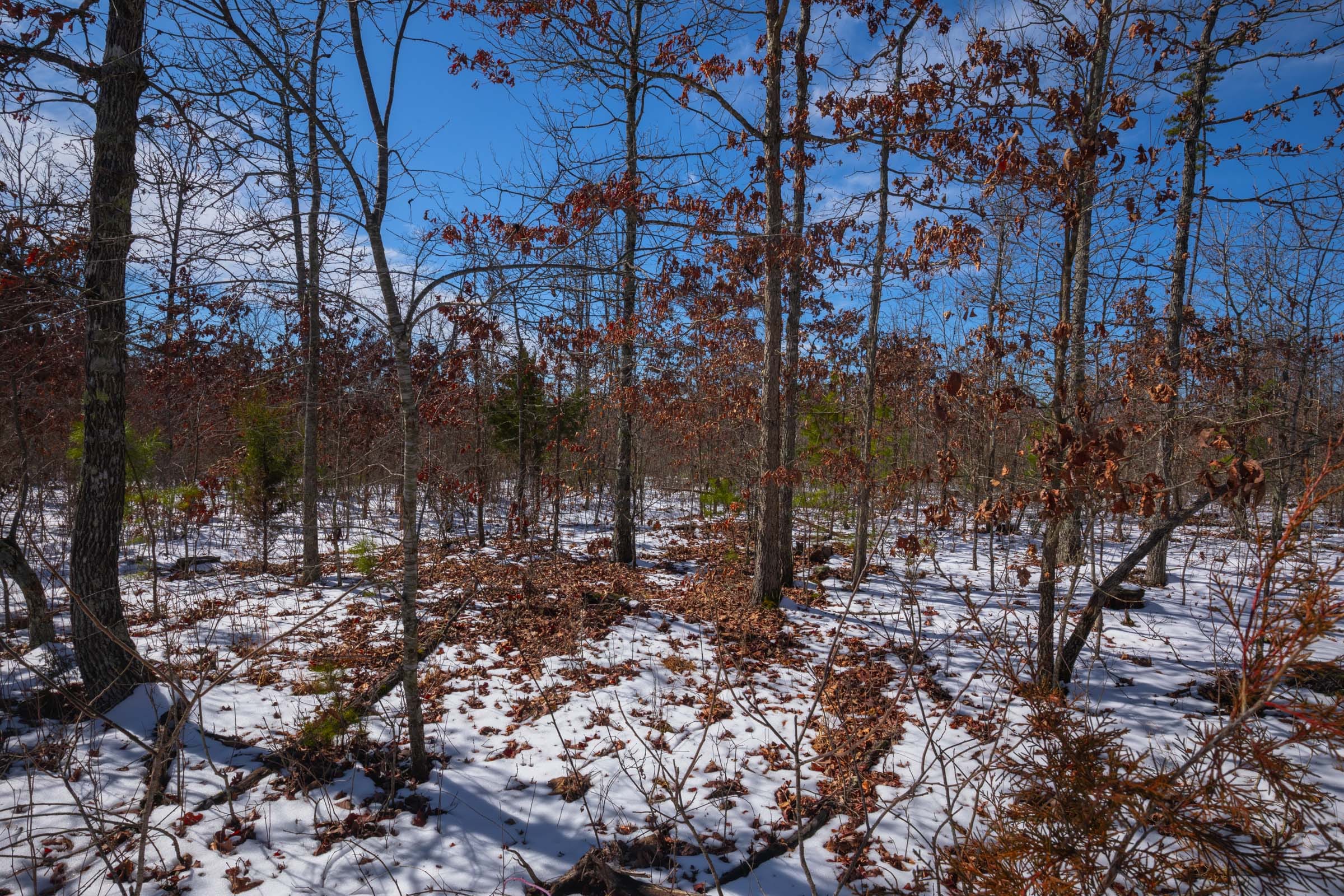 Sleepy Hollow Phase I Tract 58 photo 5