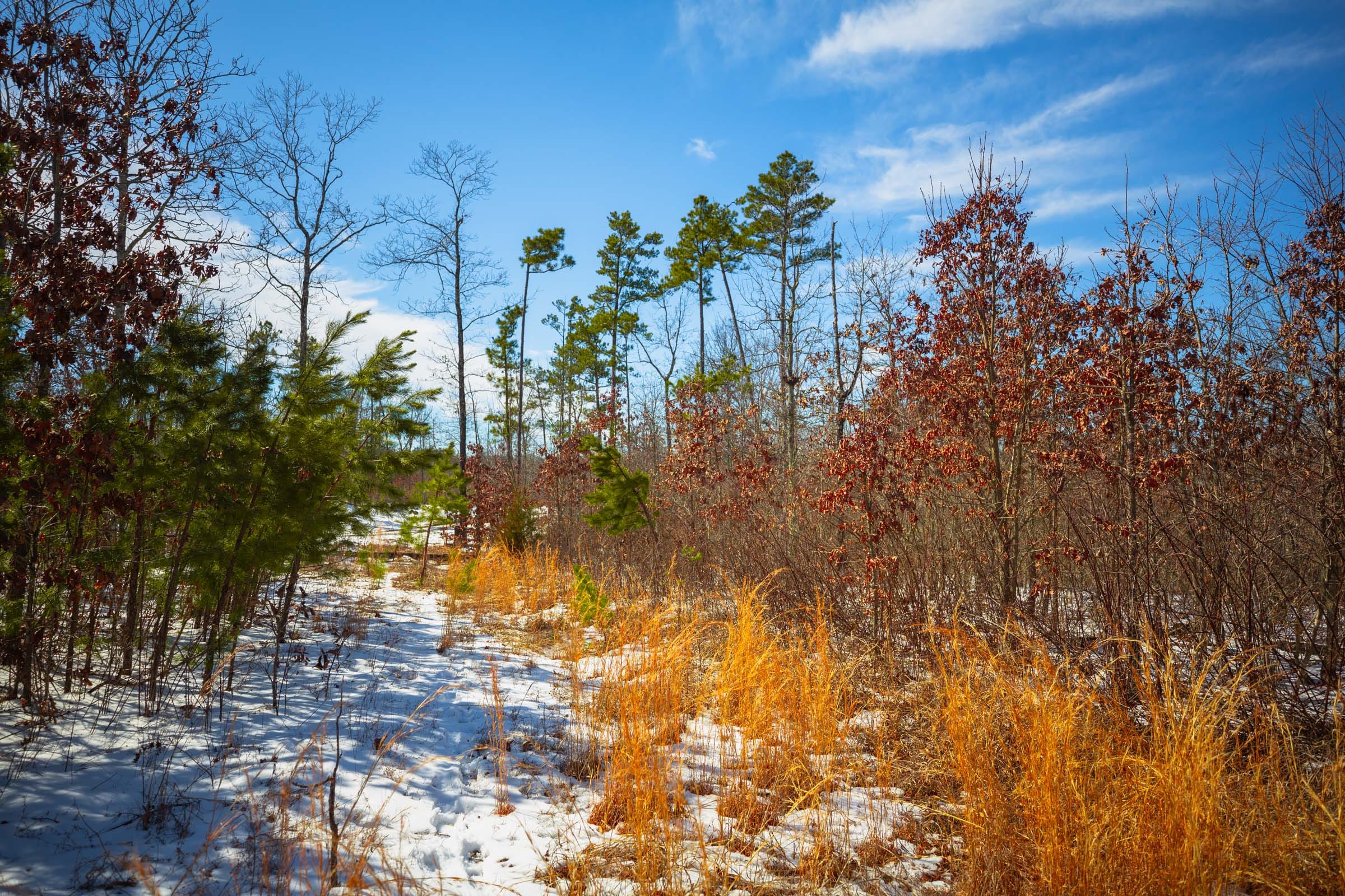 Sleepy Hollow Phase I Tract 58 photo 4